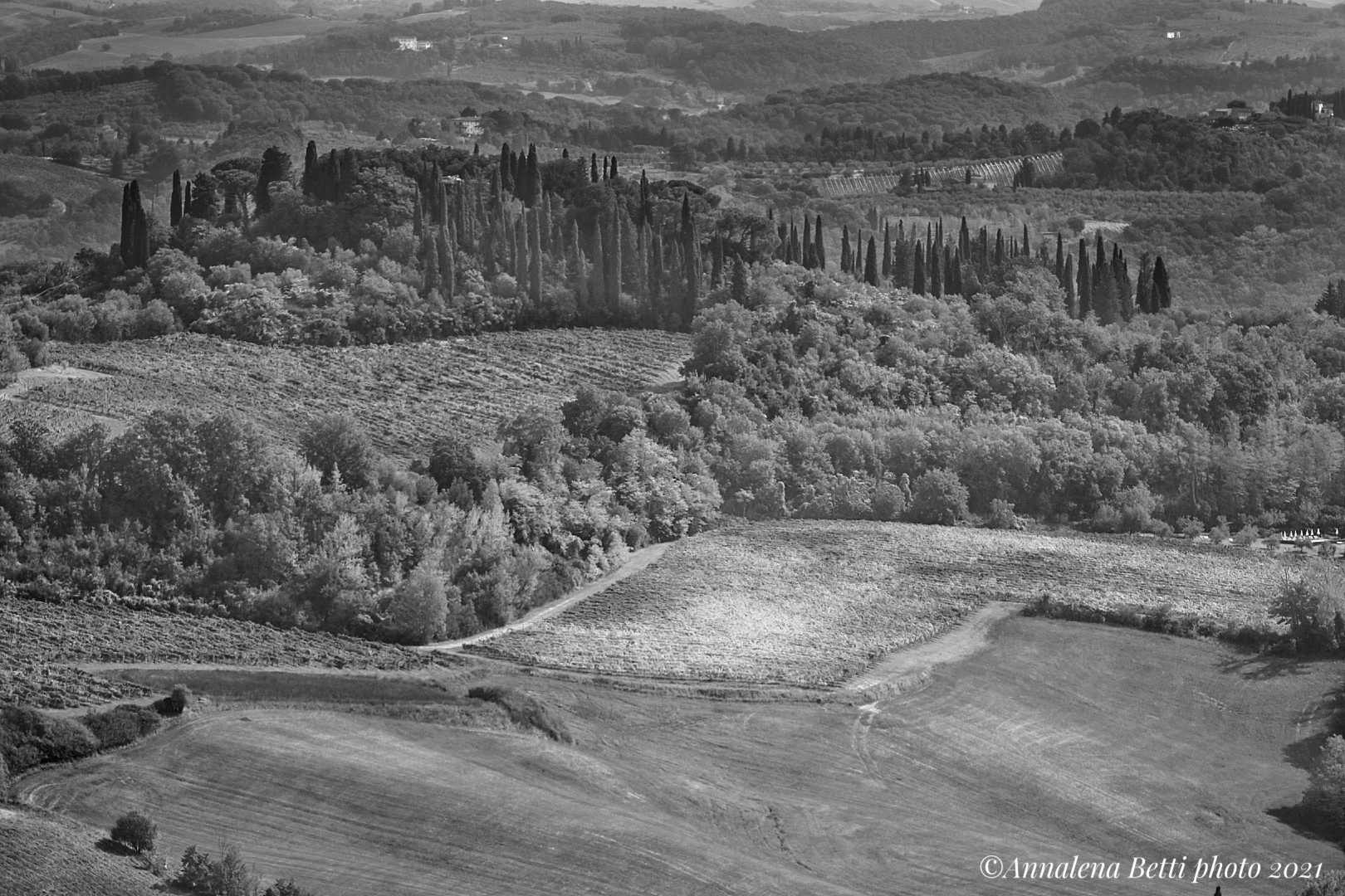 Campagna tipica del Chianti