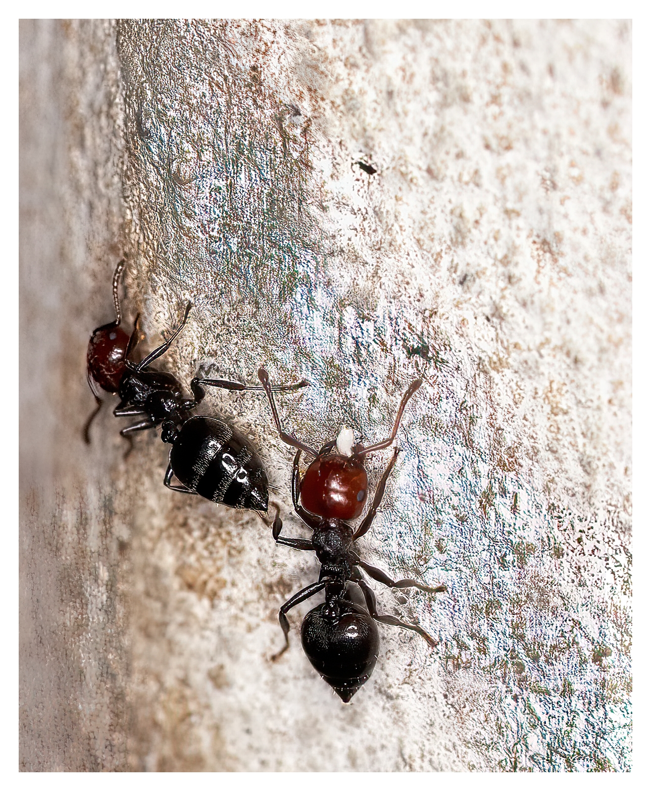 Keep calm... I look over your shoulder