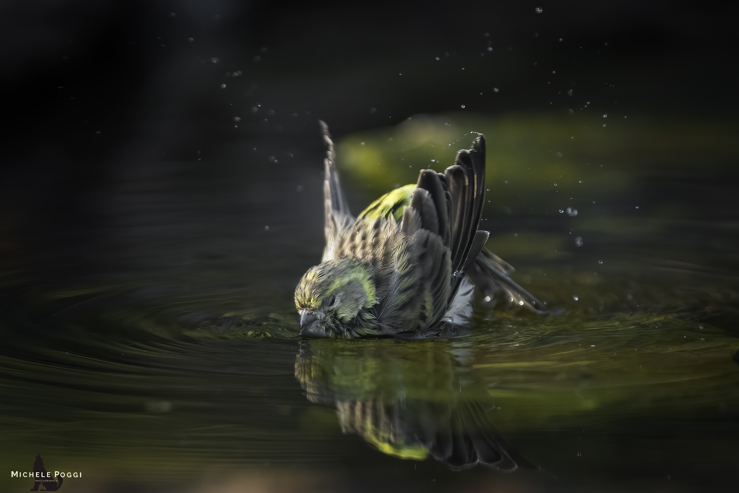 Washing into the dark
