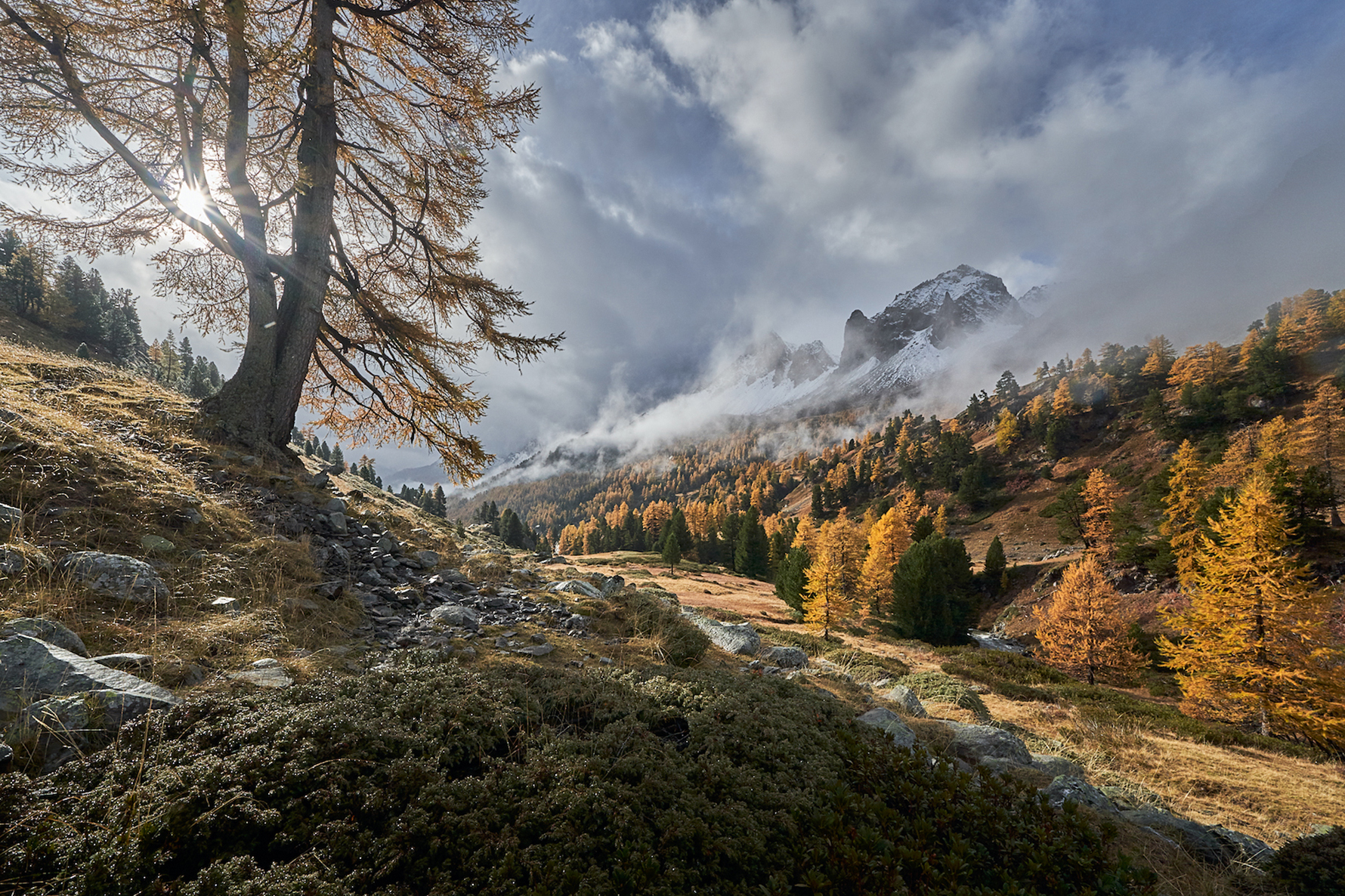 The Land of Hope and Dreams