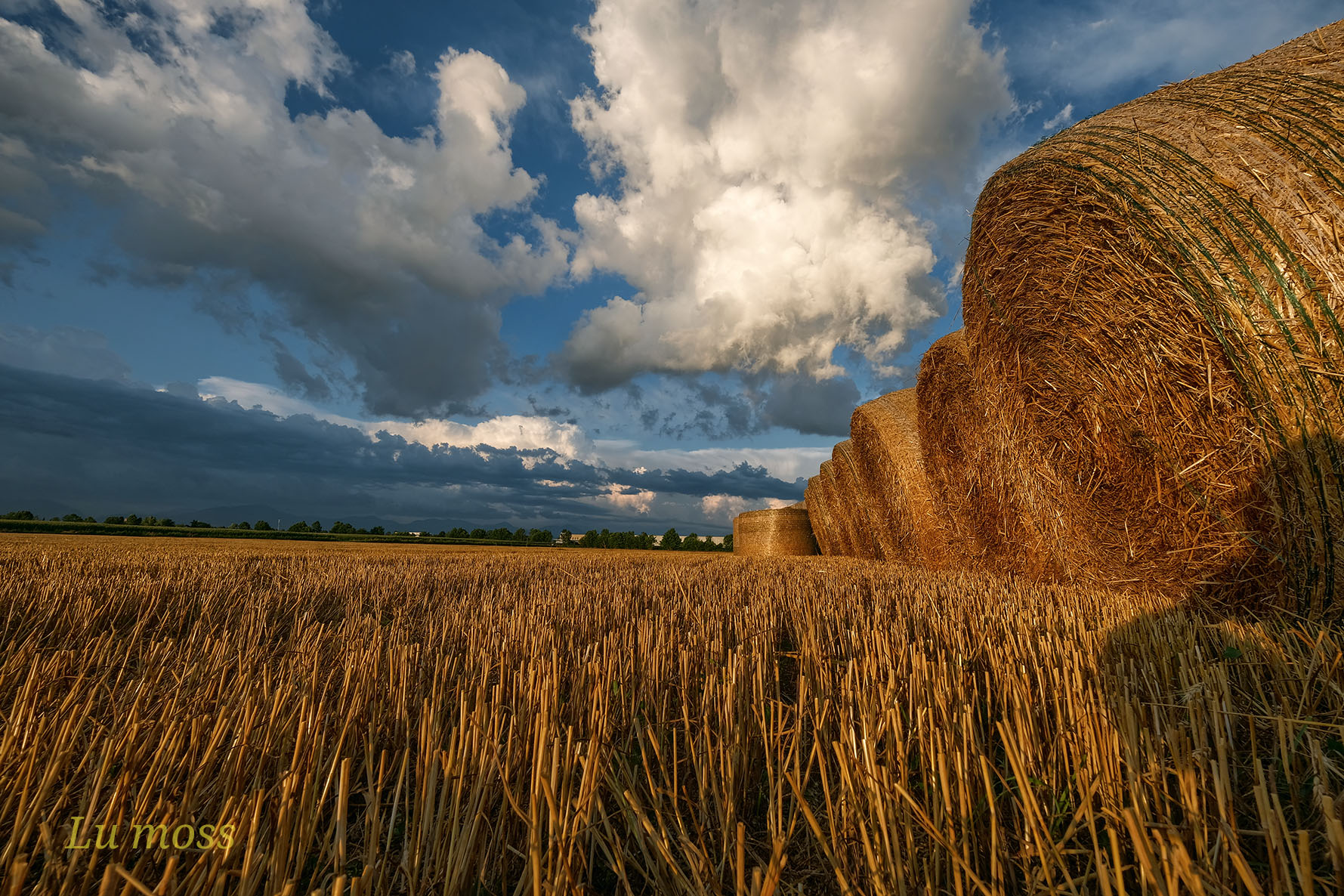 Rotoballe, che passione.
