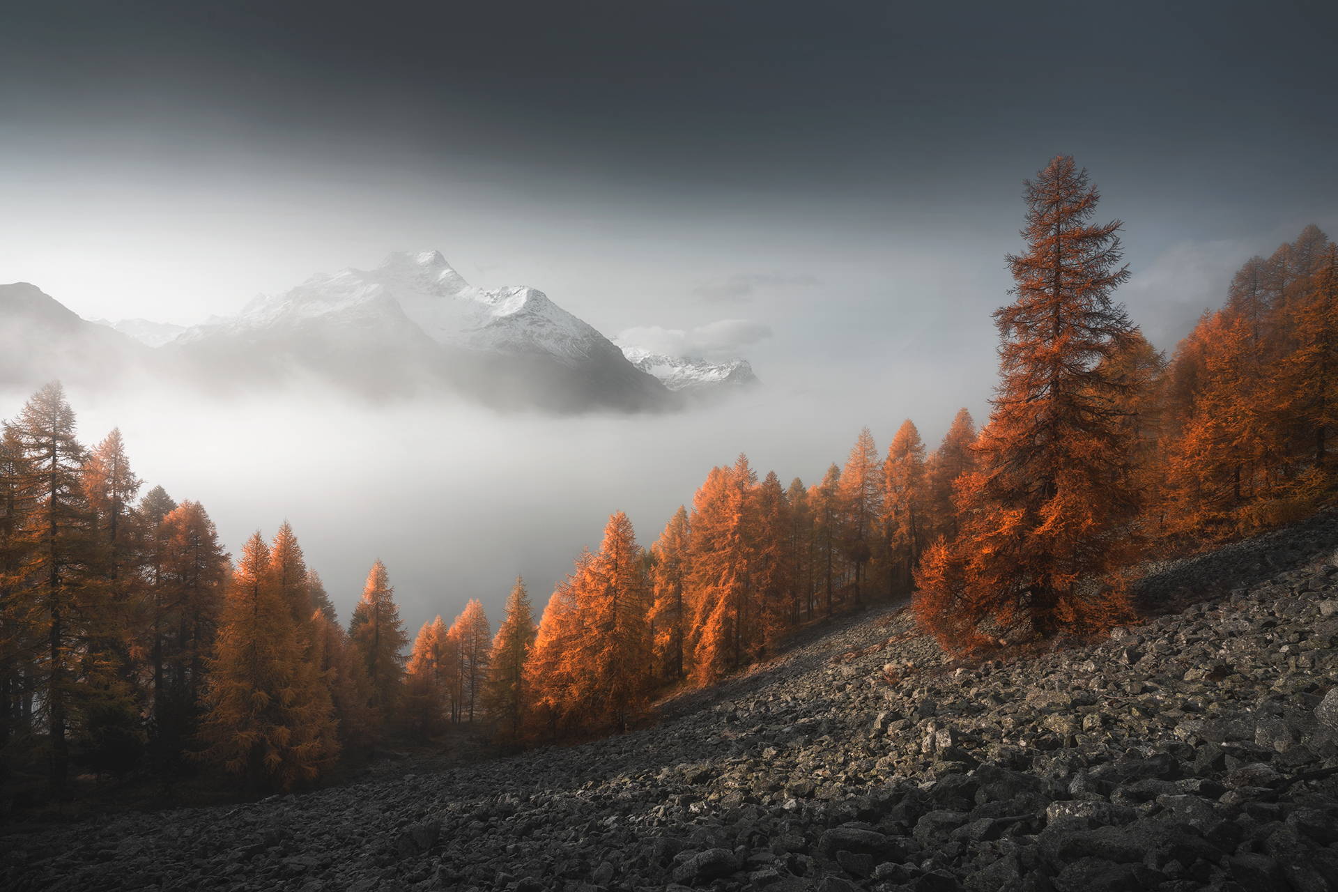 Engadine autumn colors