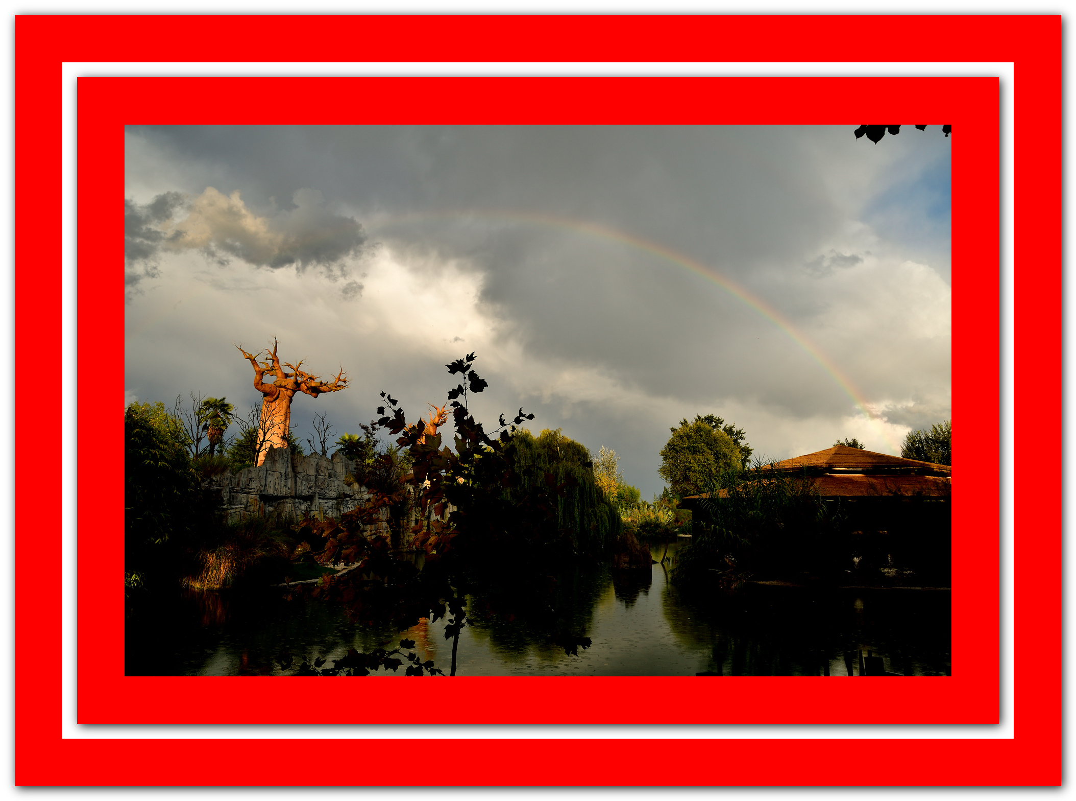 Osservando l'arcobaleno