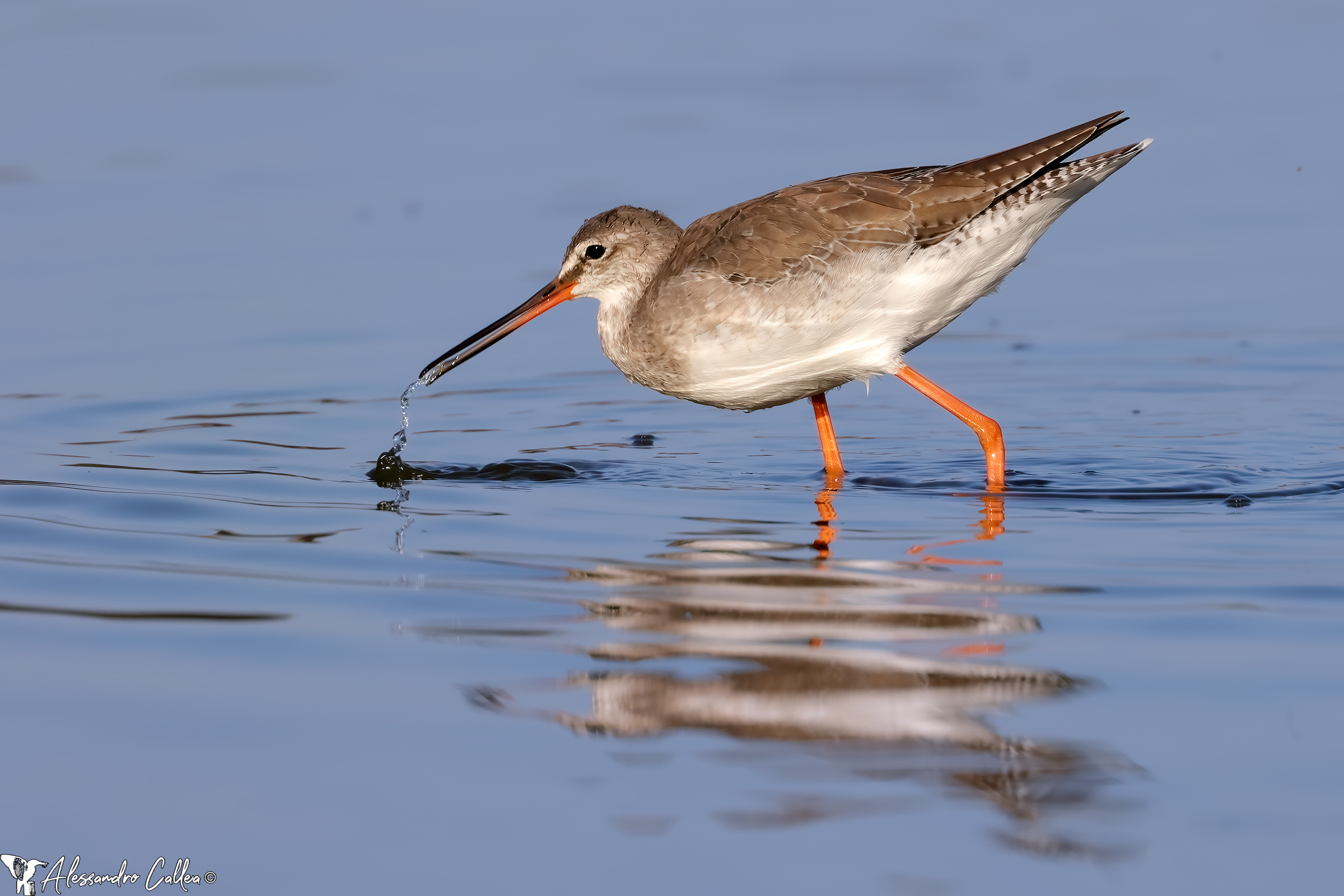 La pesca a volte va bene, altre volte va male...
