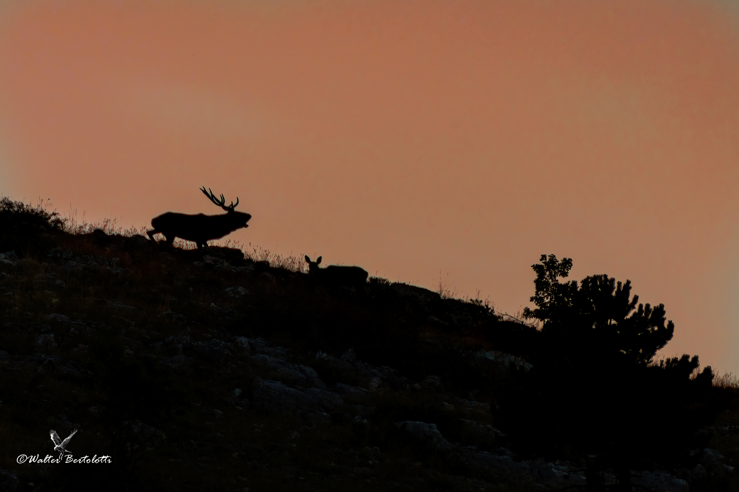 greeting to the day that ends