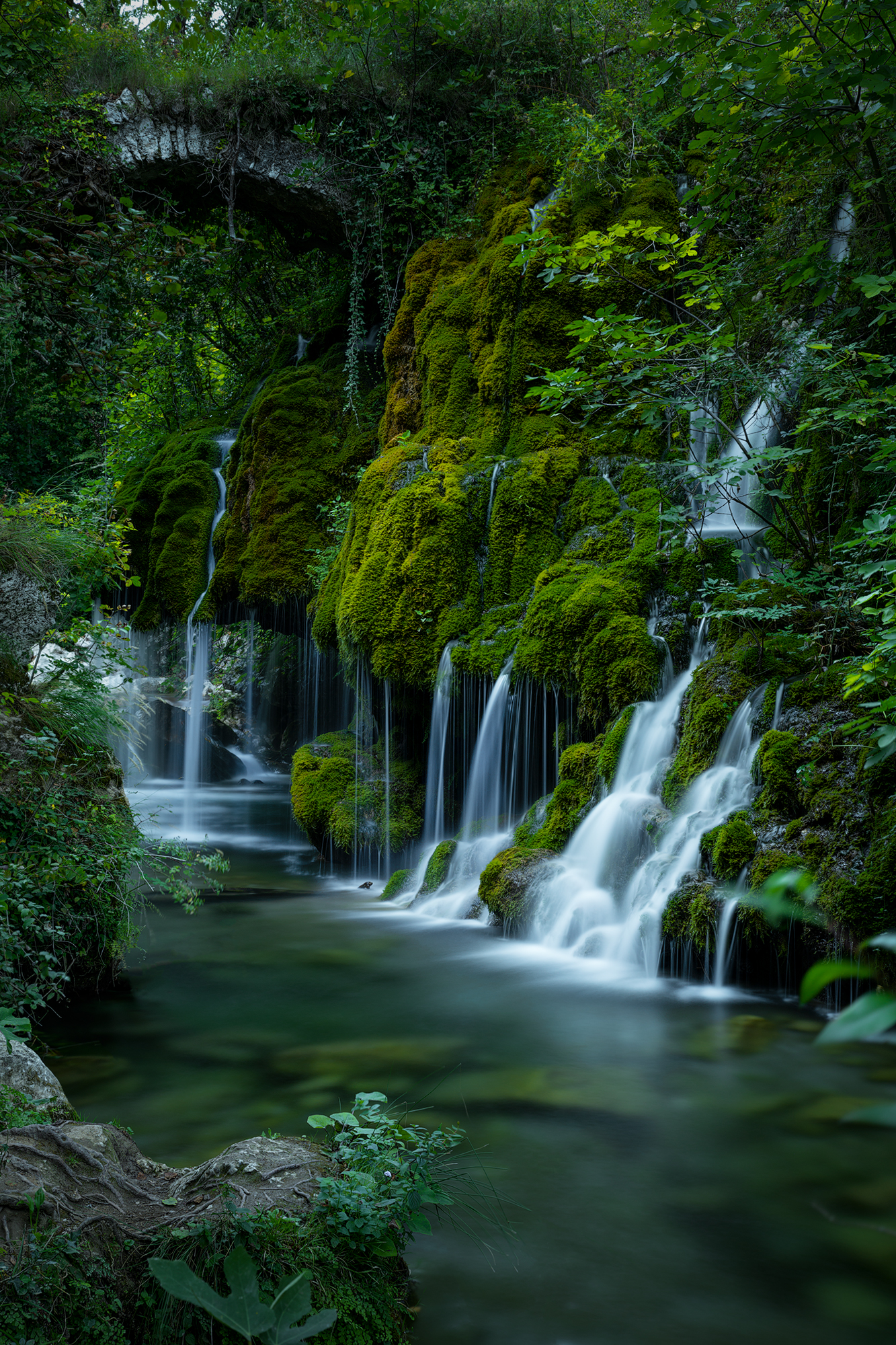 capelli di Venere, dimensioni fatate