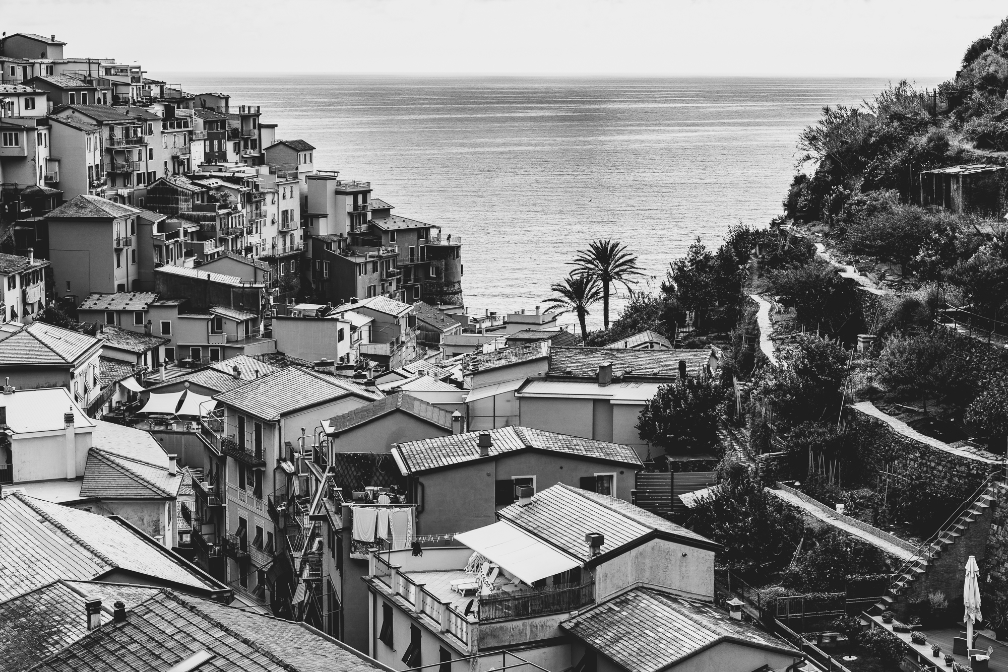Manarola 2