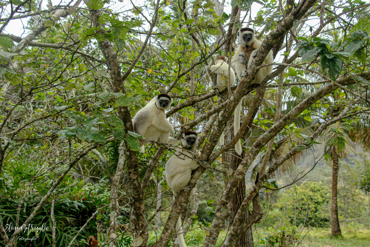 Small group of friends