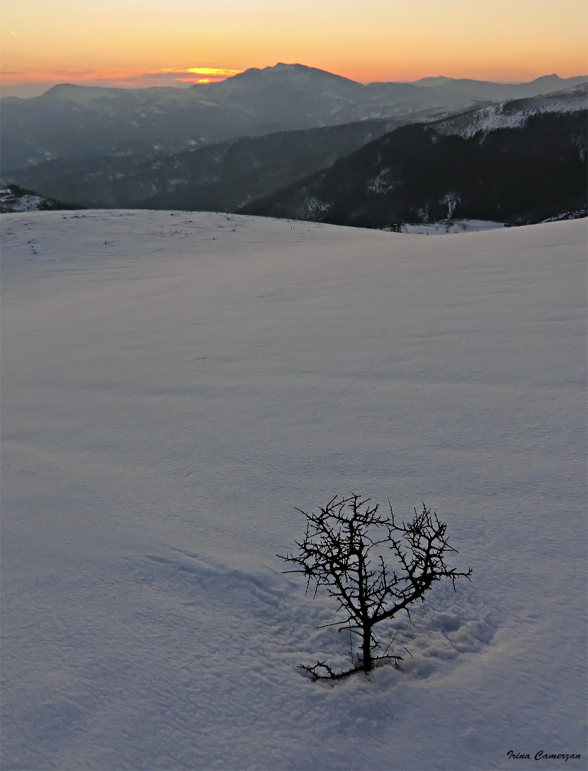 ' ' soltanto uno spettatore ' '