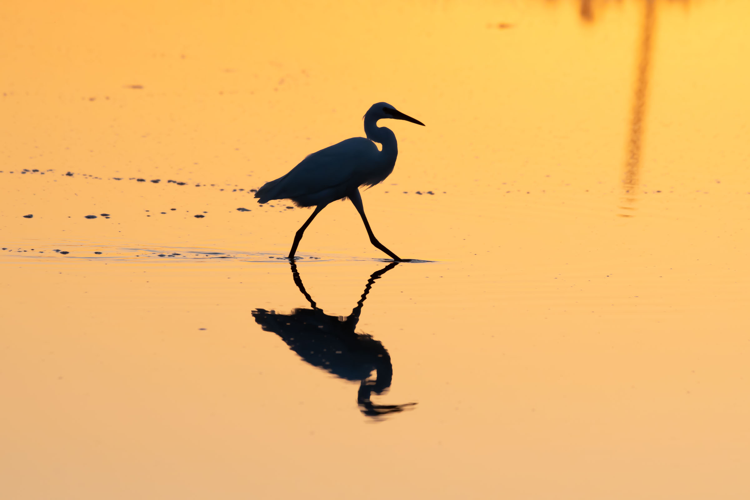 ombre al tramonto...