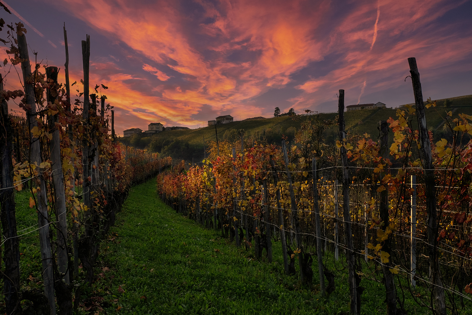 ready to go ! autumn at the gates in langa