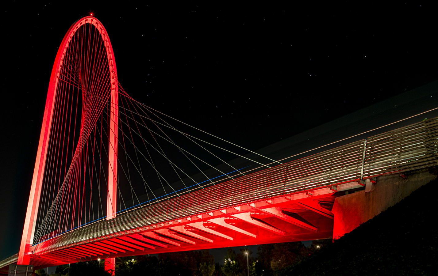 CALATRAVA BRIDGES