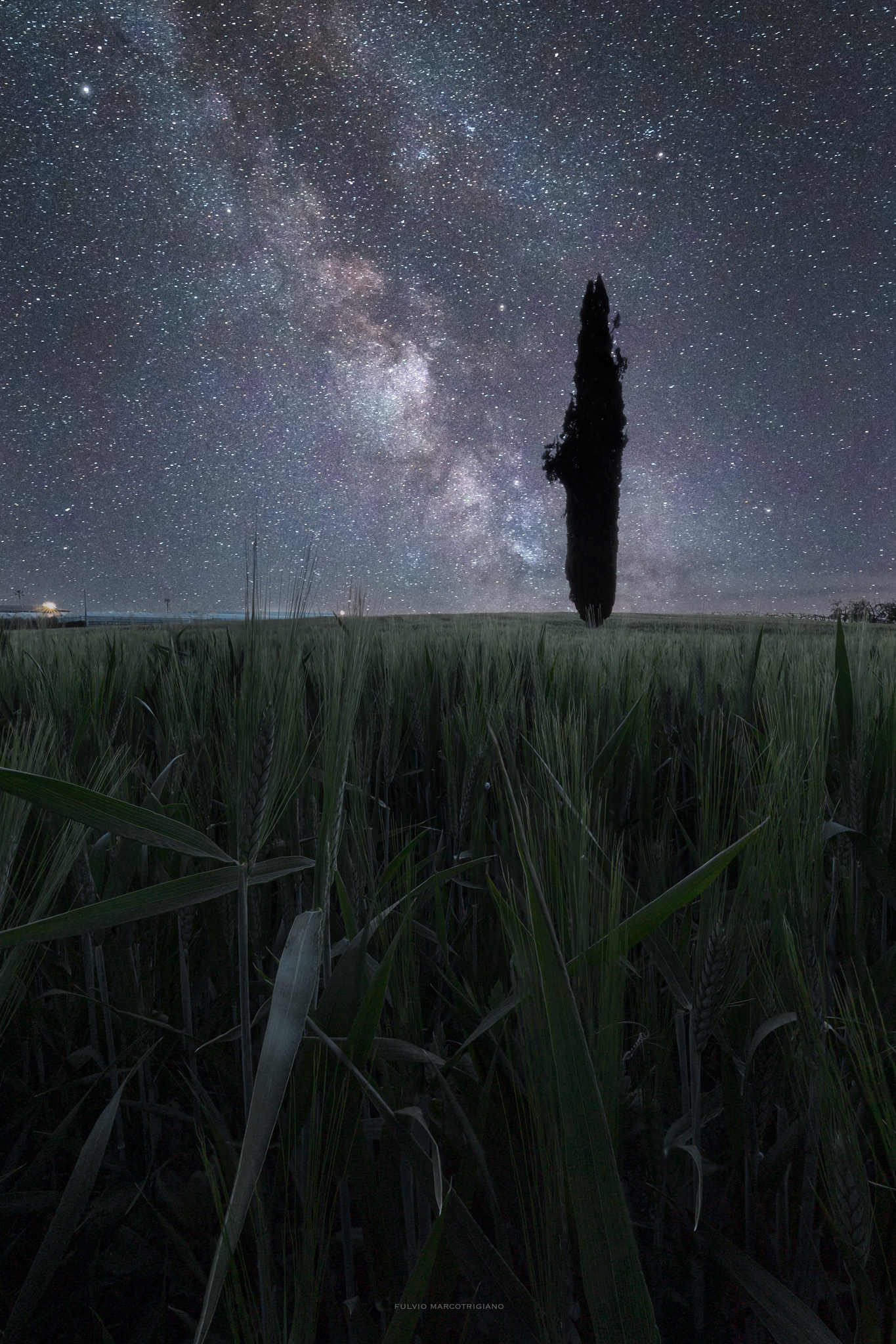 A night in the fields