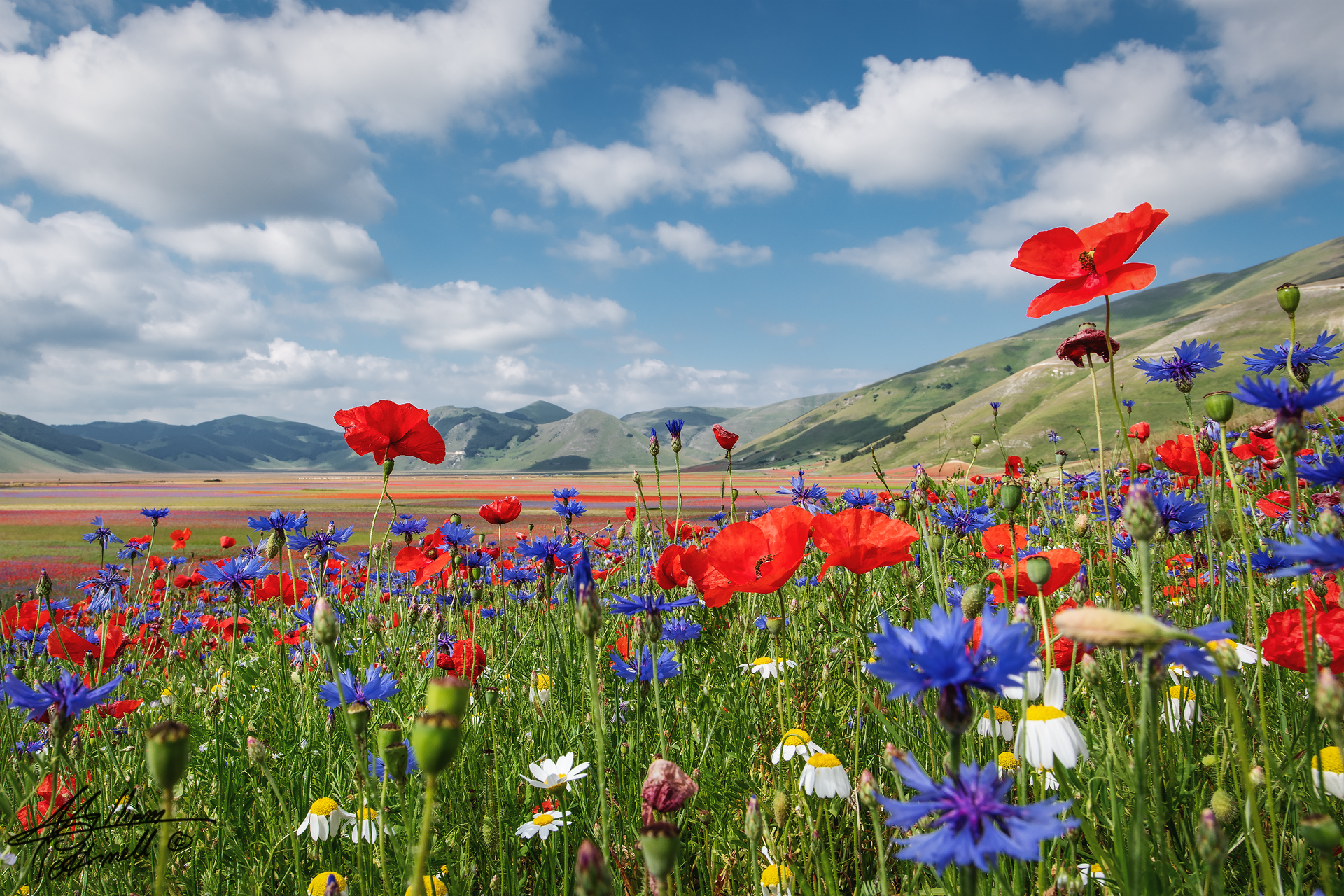 Castelluccio 2018