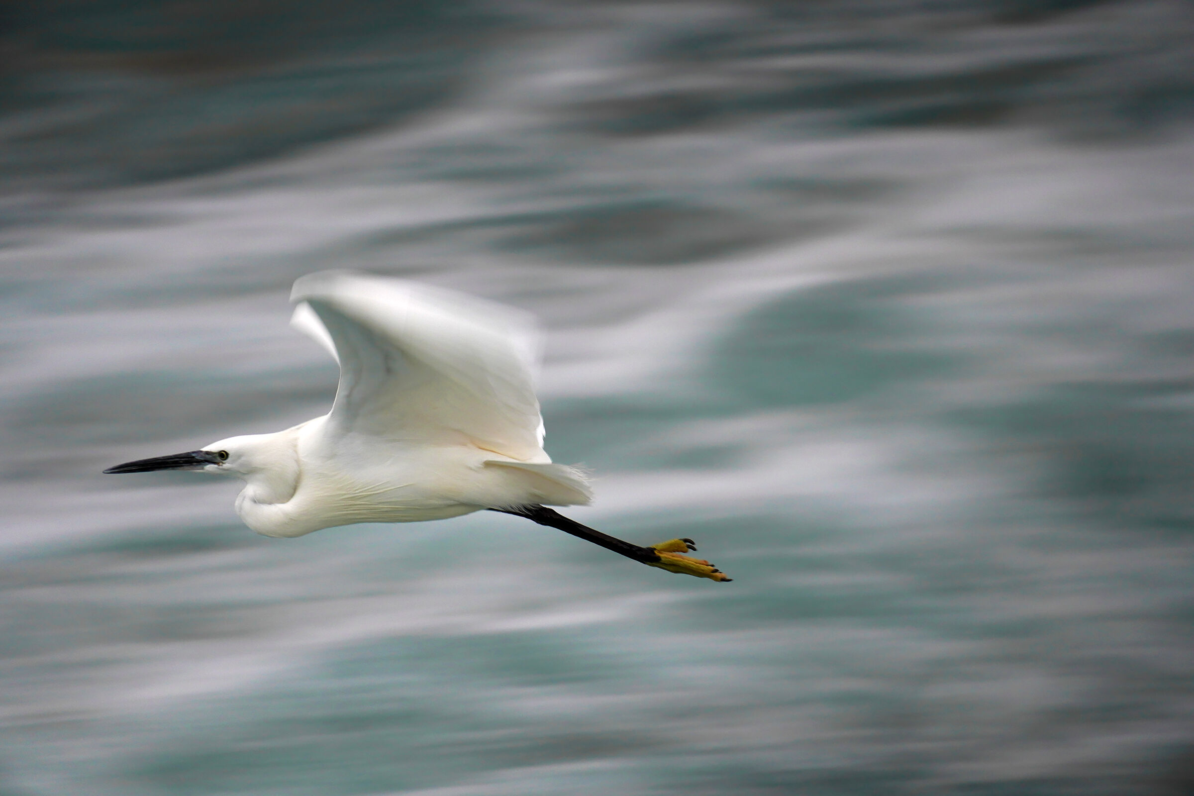 panning2