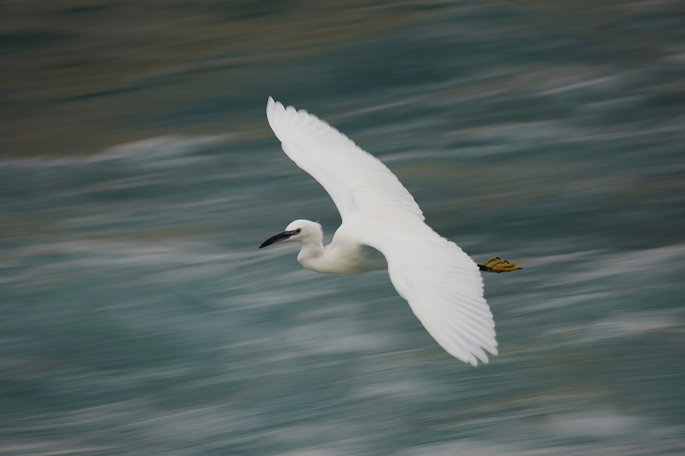 panning3