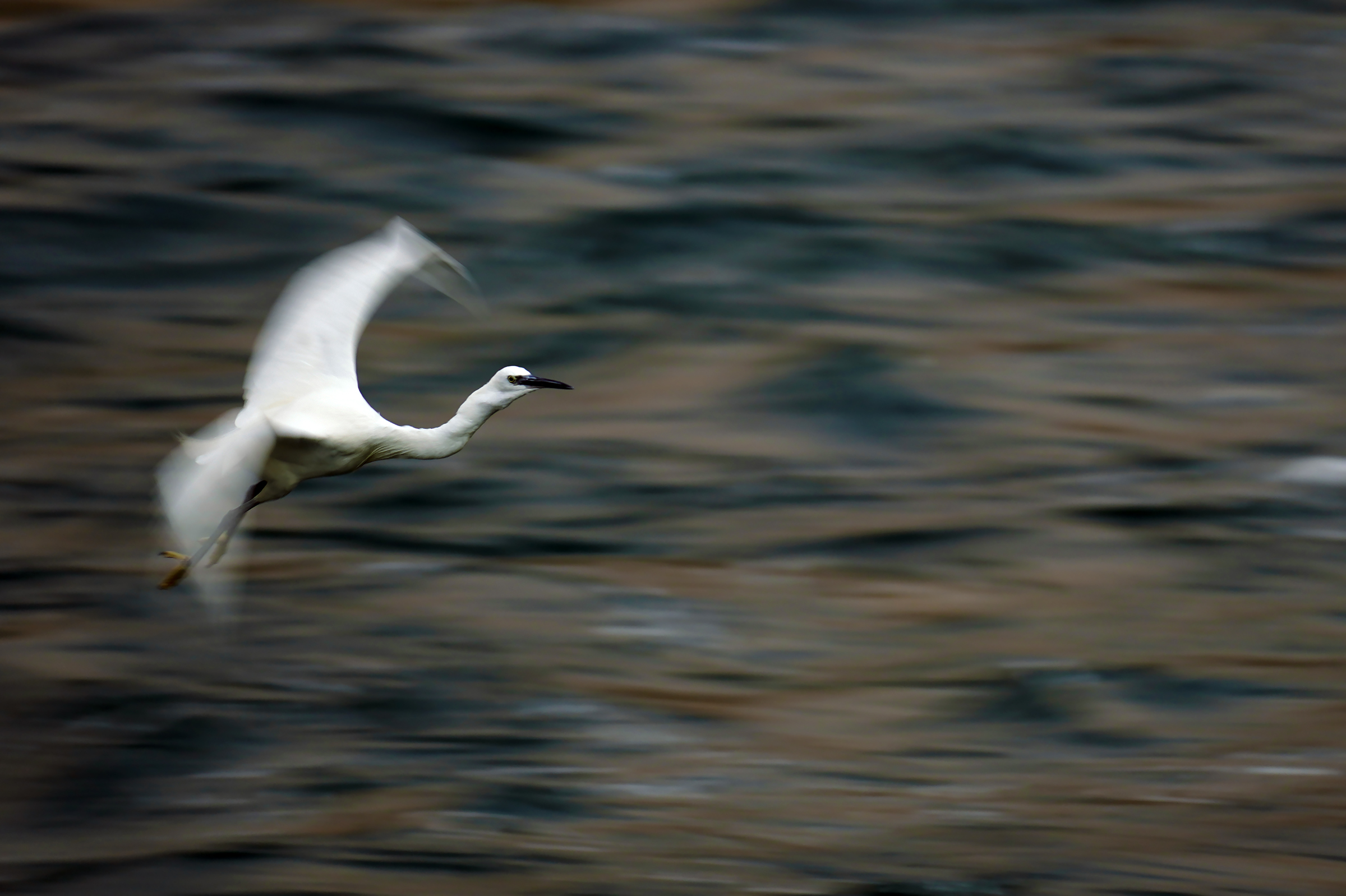 panning1