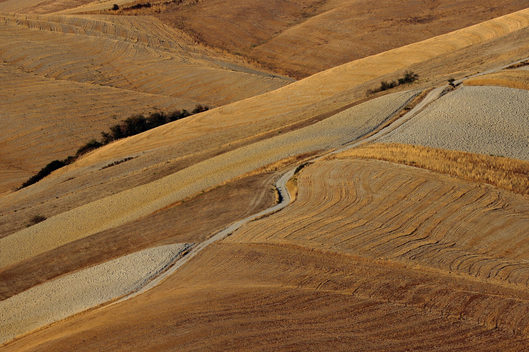 Strada campestre del volterrano