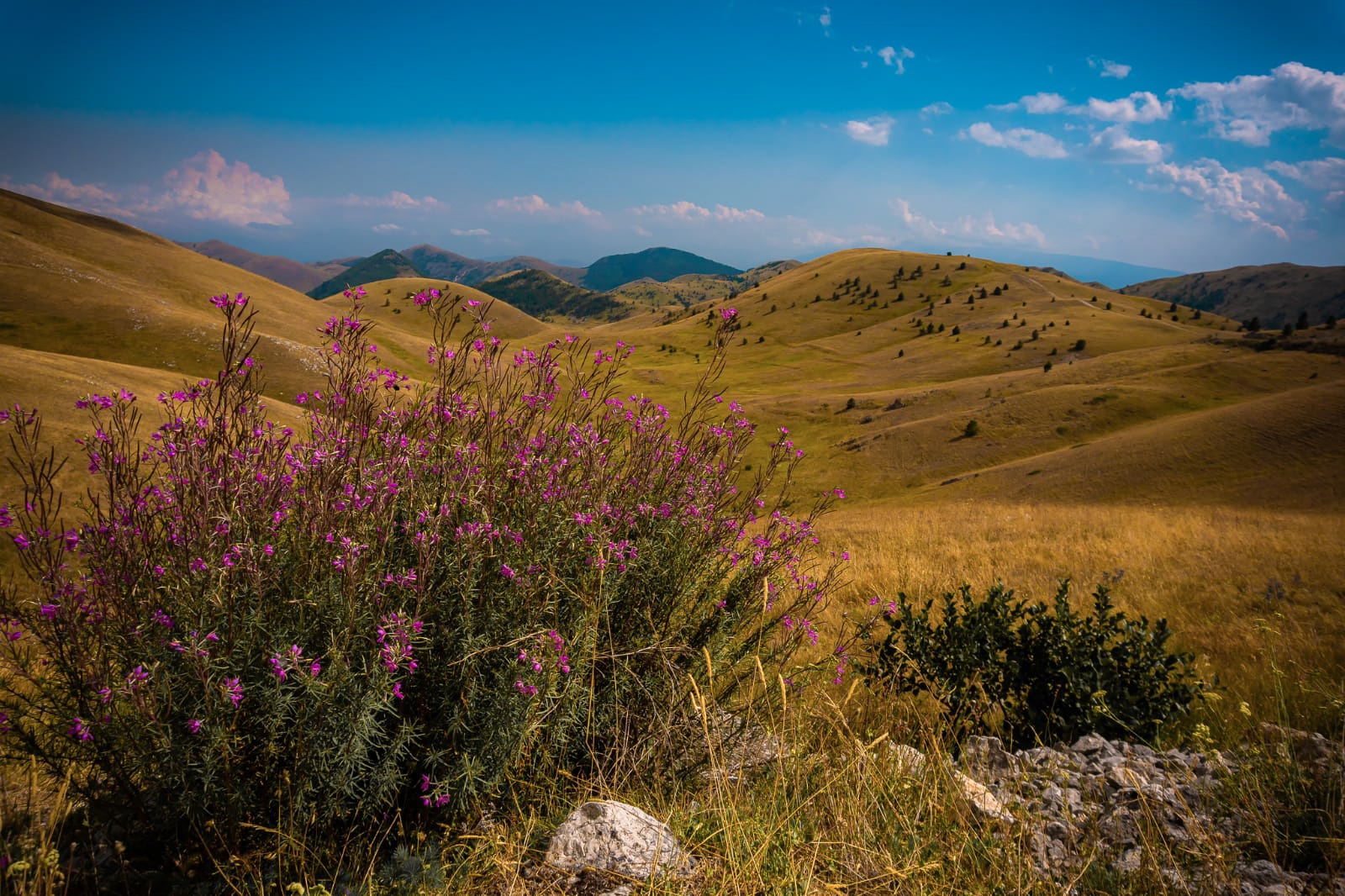 Campo imperatore - Colline e fiori -