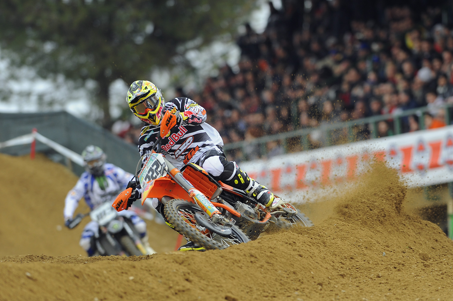 Cairoli