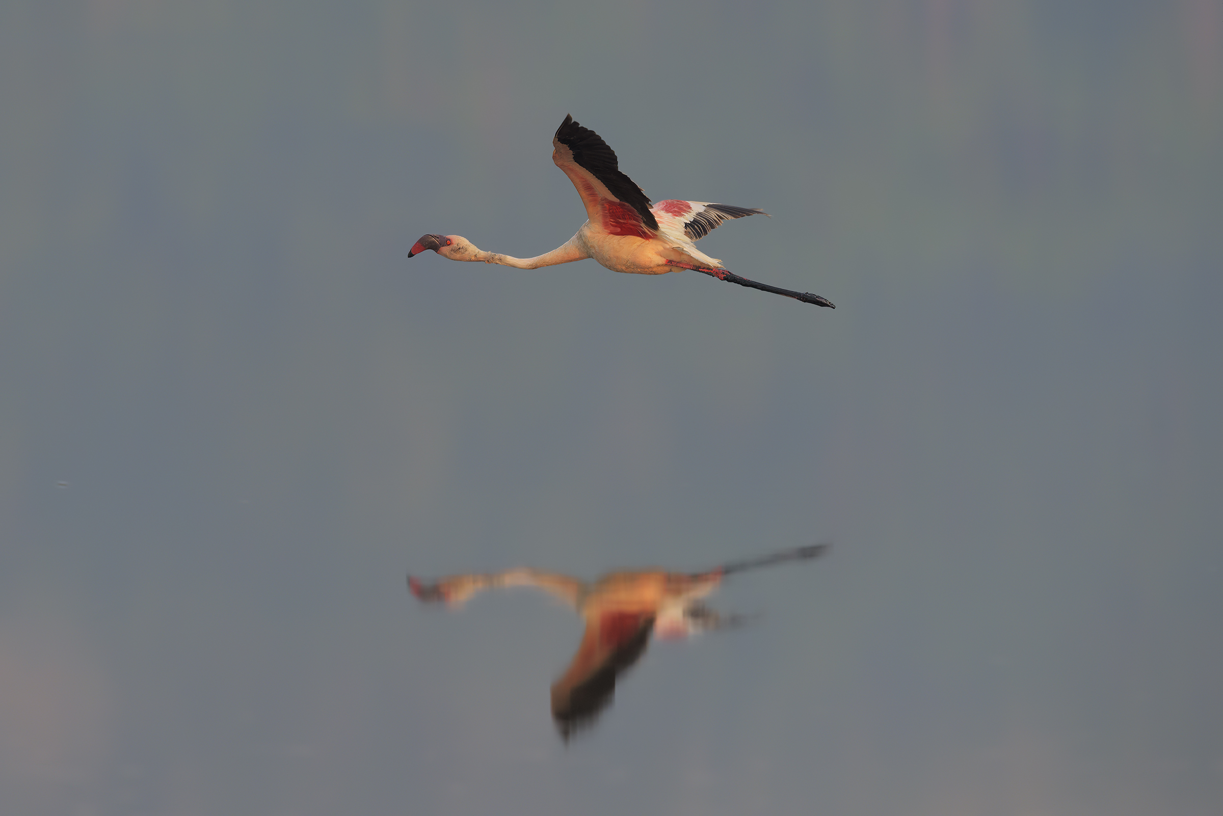 The Mirror in the Sky