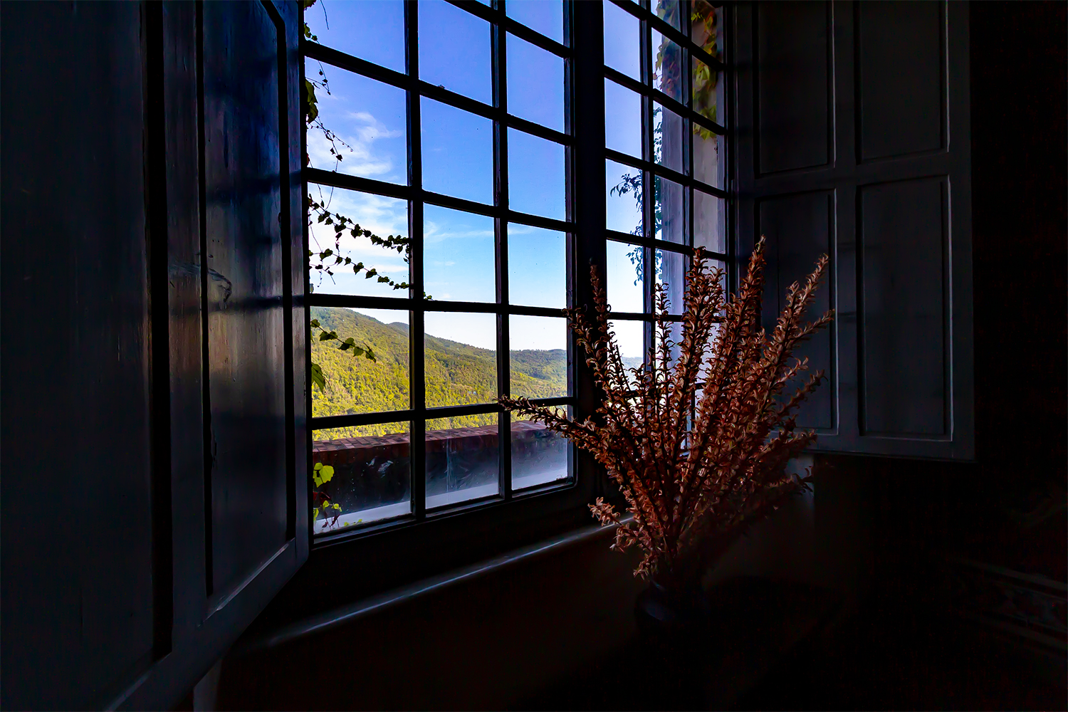 vista dalla finestra