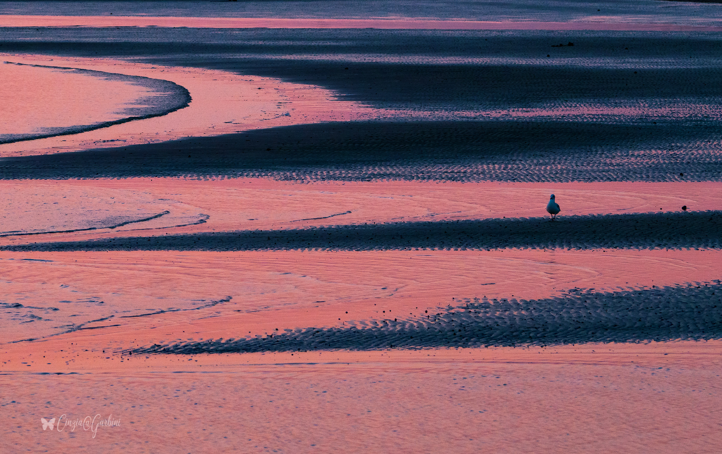 camminando... un mattino