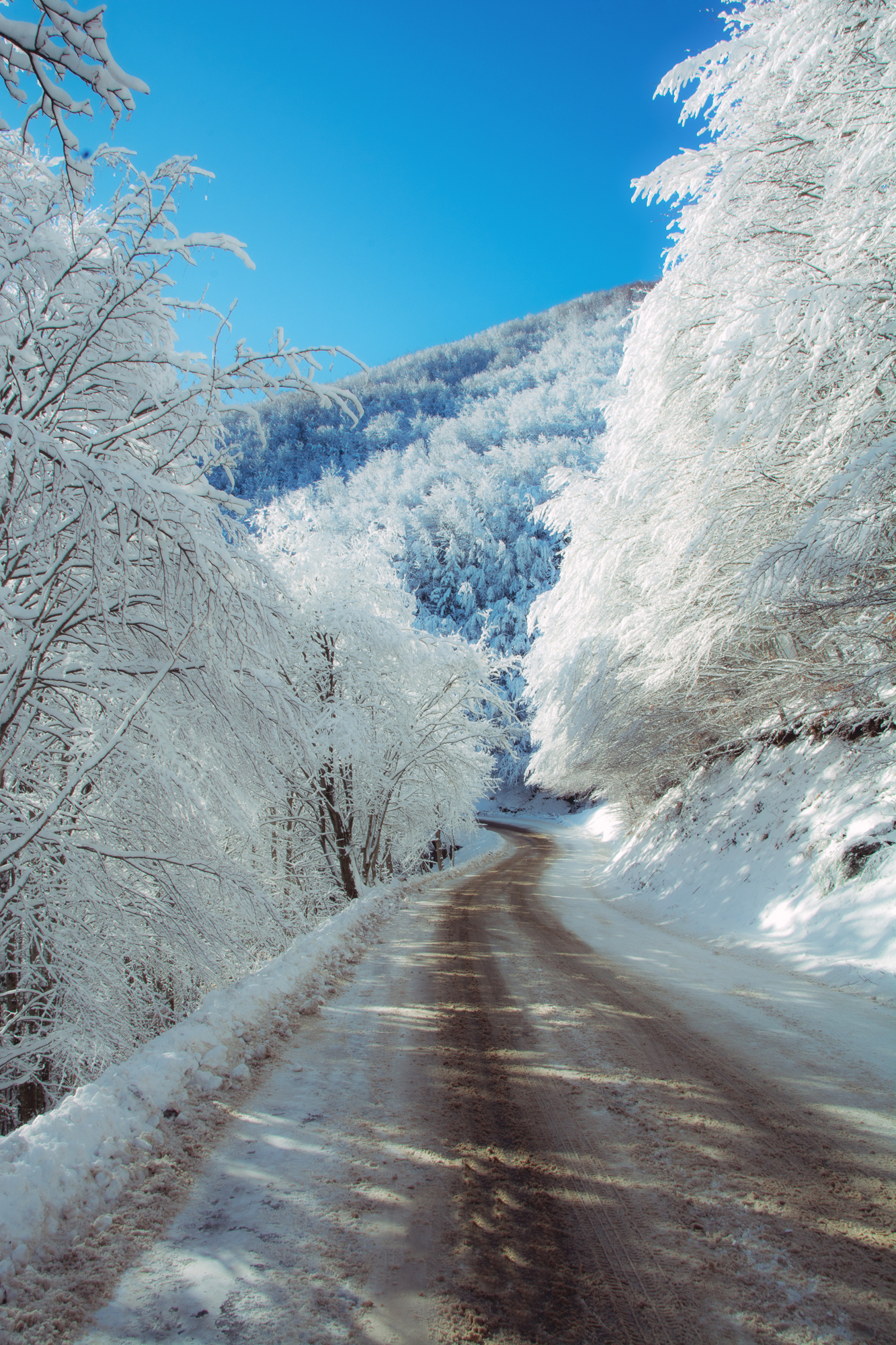 The snowy path
