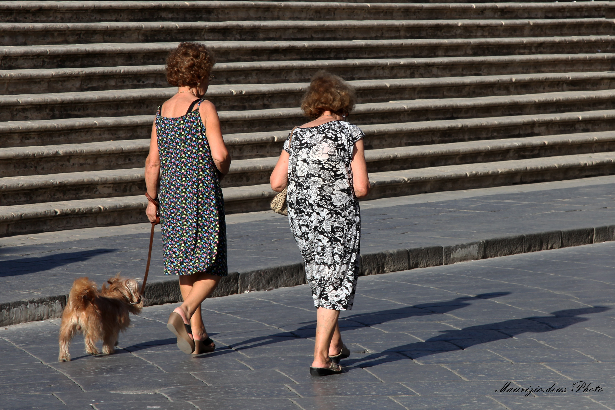 A spasso con il cane