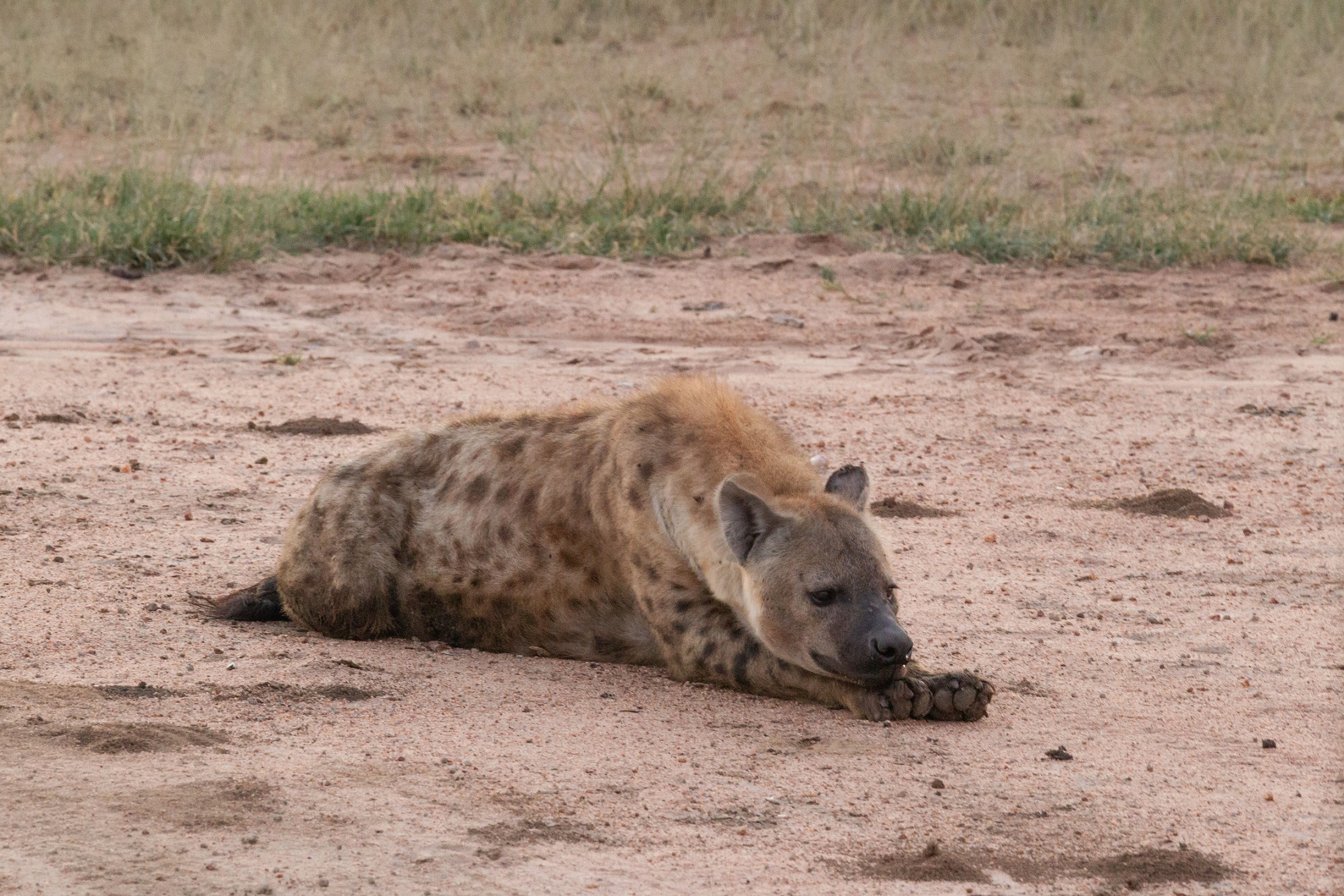 Riflessione....???!!!