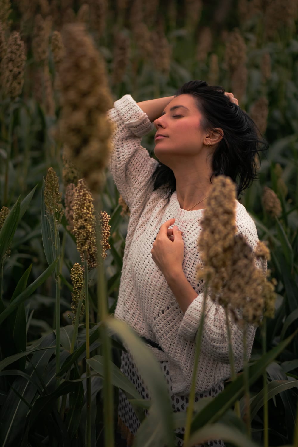 Into the wheat fields