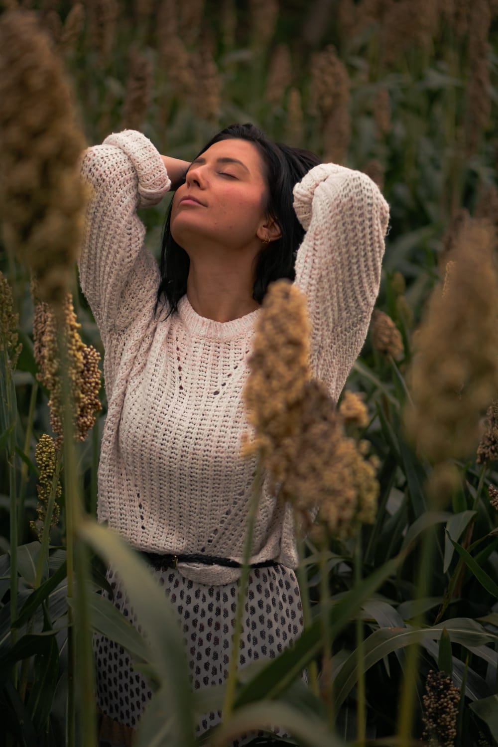 Into the wheat fields 2