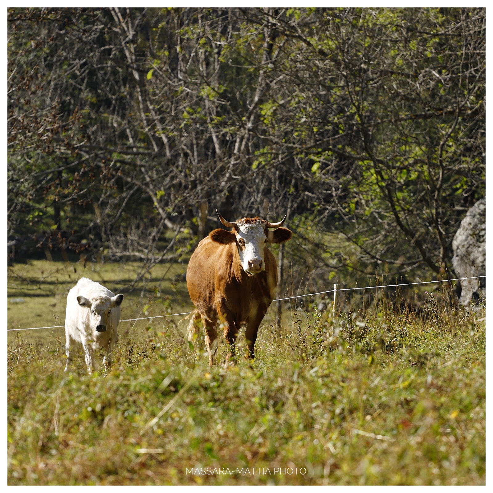 A spasso con la mamma