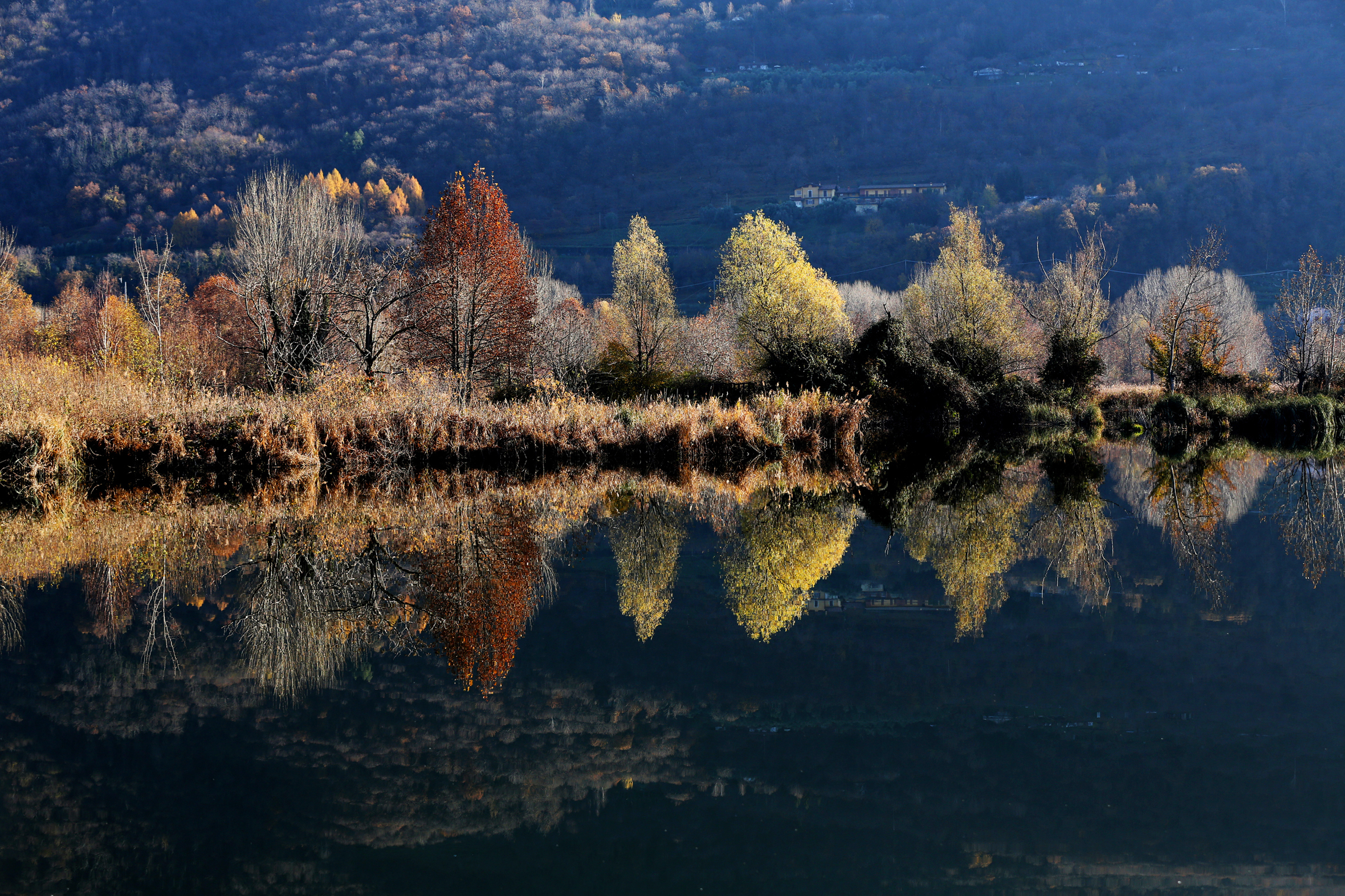 riflessi in torbiera (lago d'Iseo Brescia)