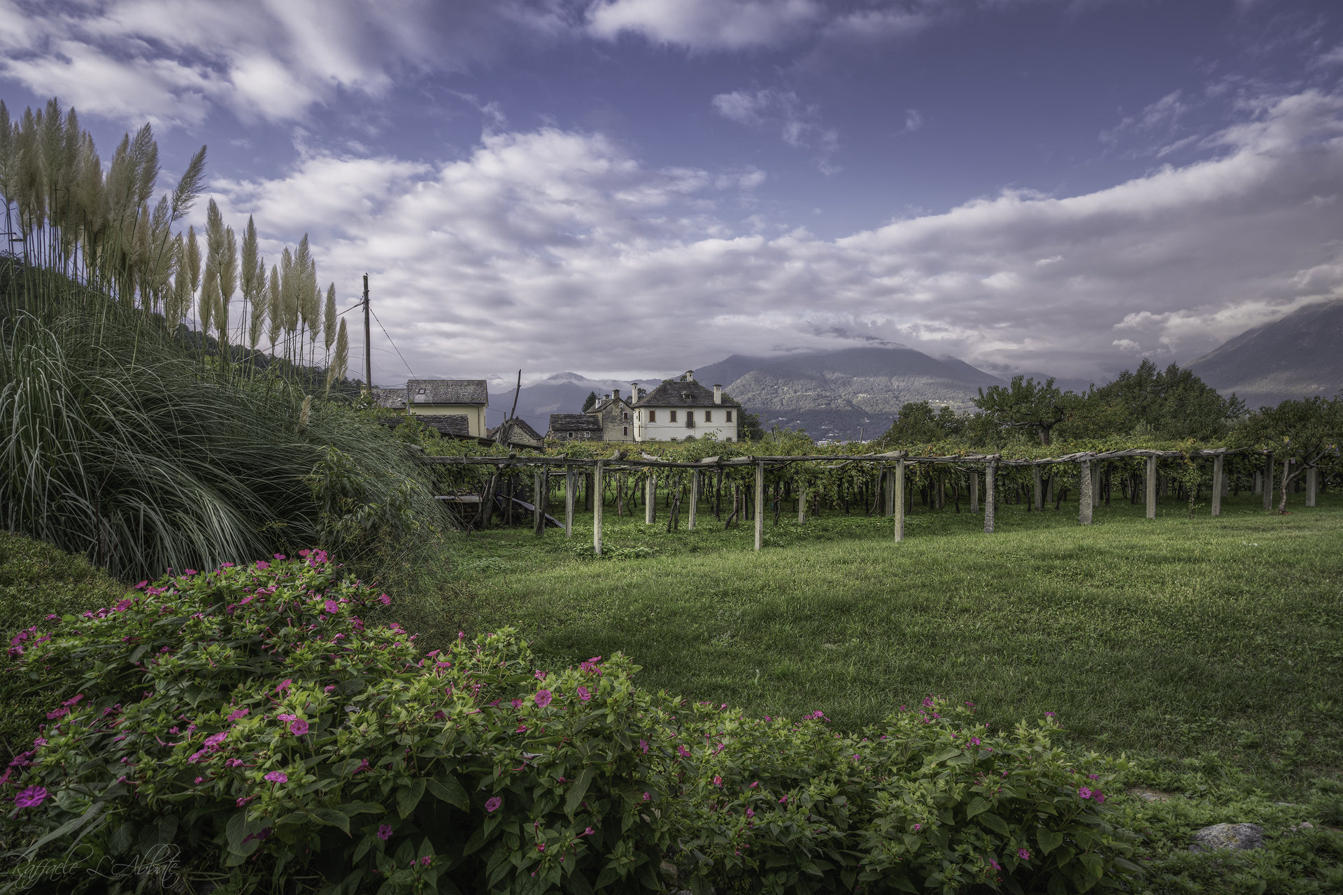 Passeggiando tra i Vigneti della Val grande