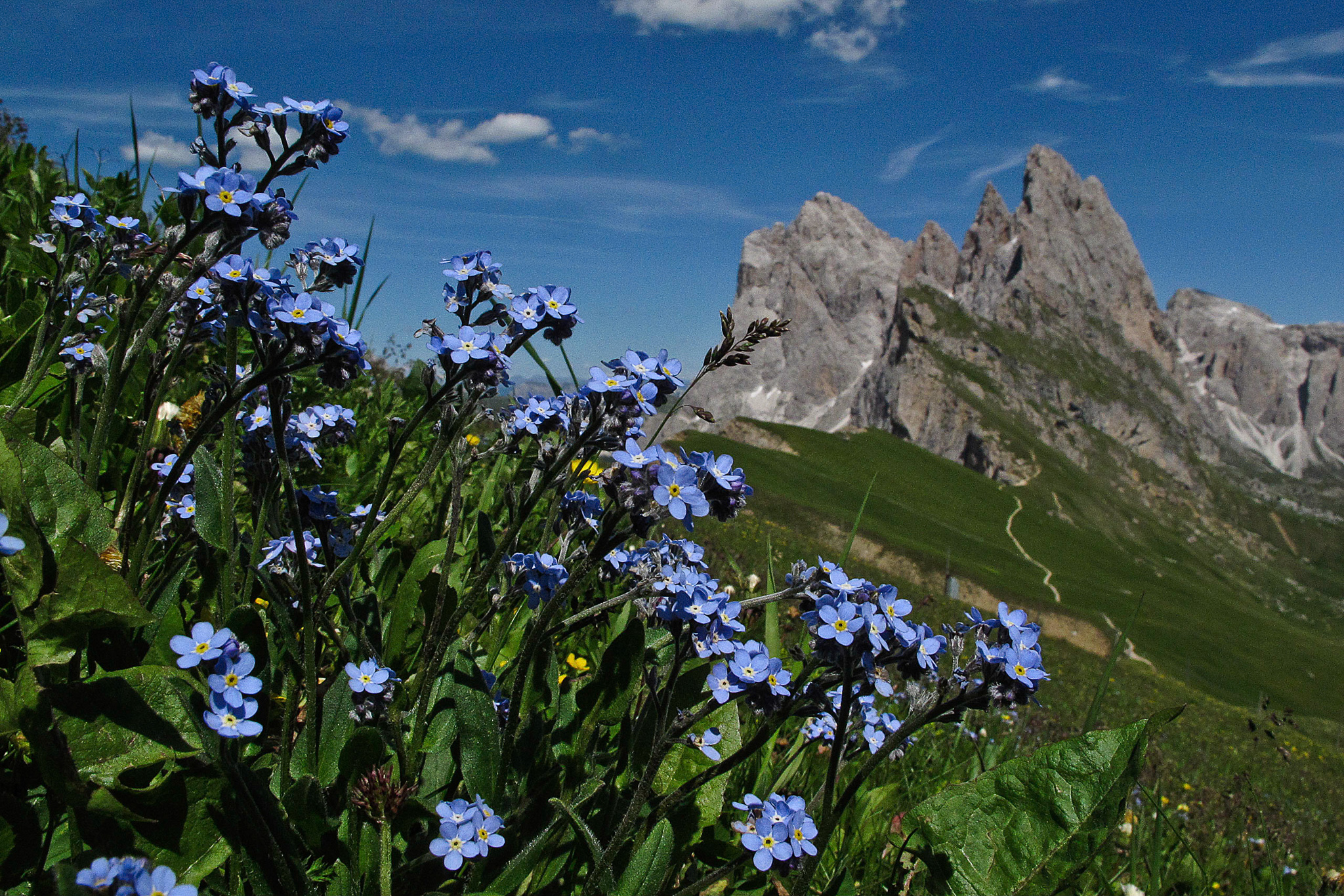 Seceda
