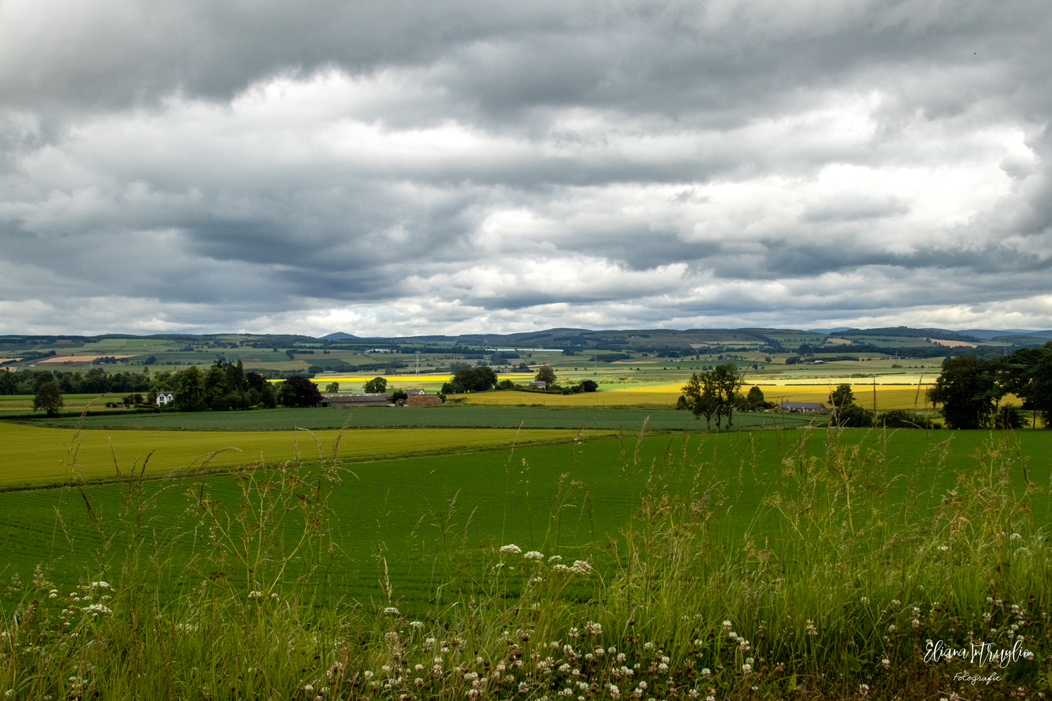 Scottish Countryside