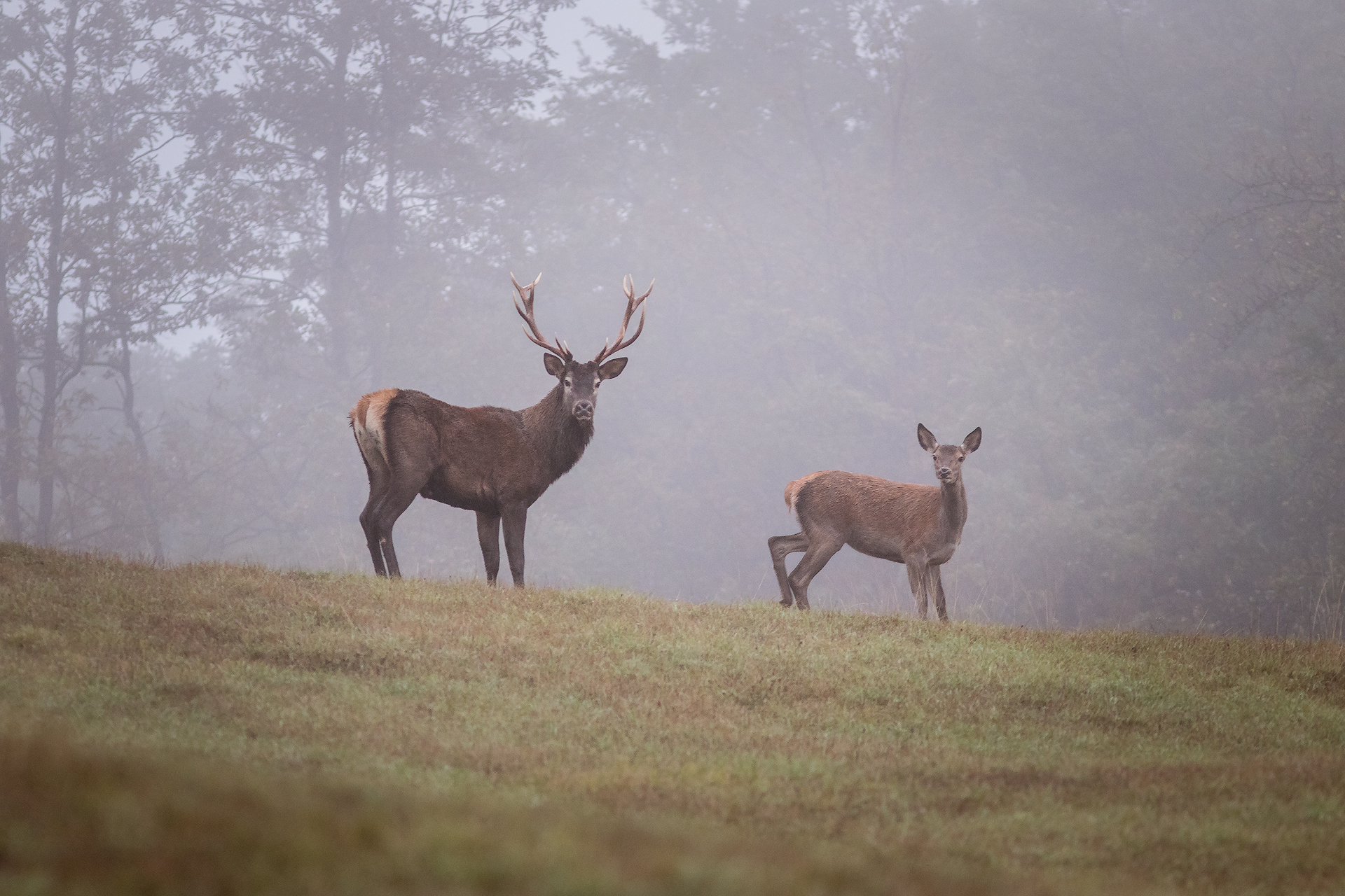Siamo la coppia più bella del mondo