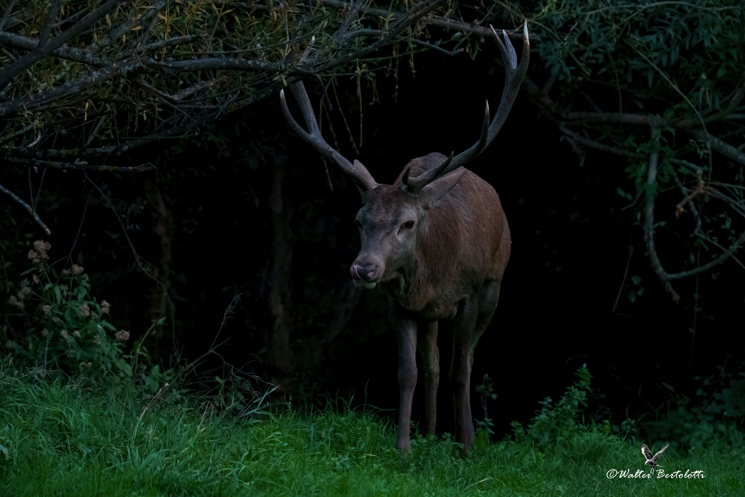 evening falls, it's time to stop