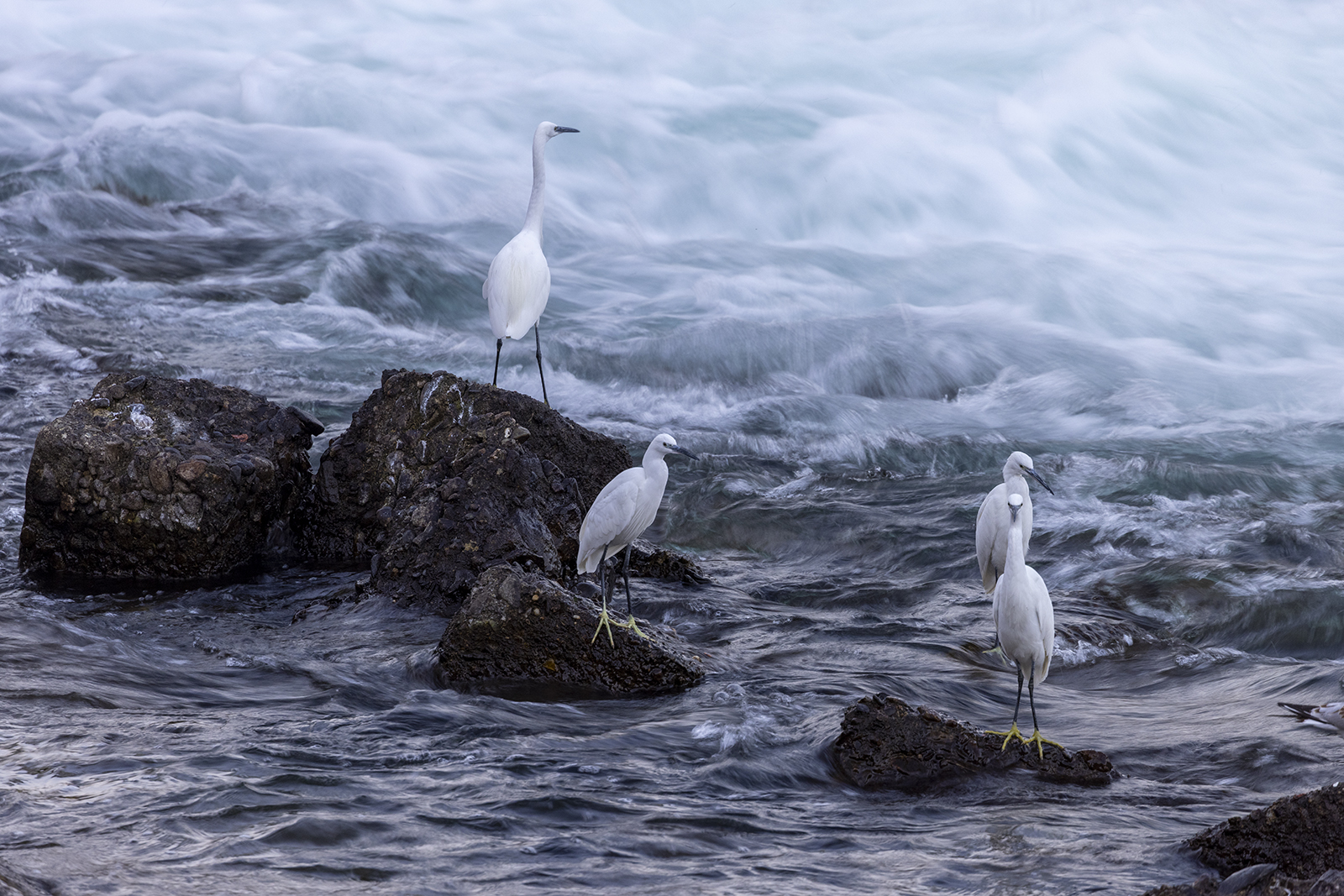 We were four friends at the bar...