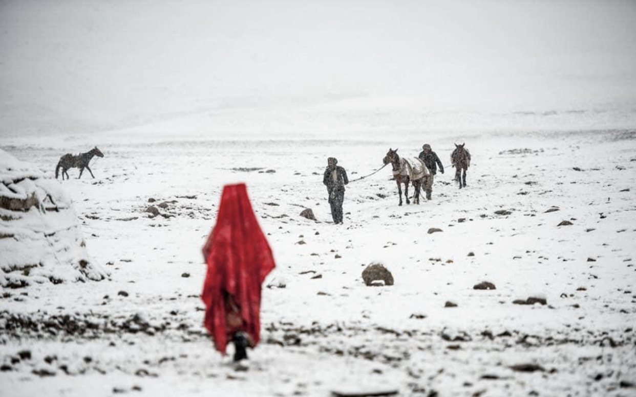 Afghanistan, photo exhibition