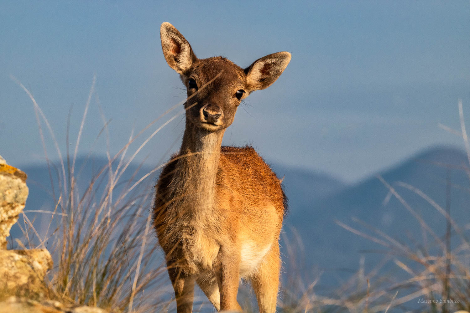 ... What about you... Who are you?