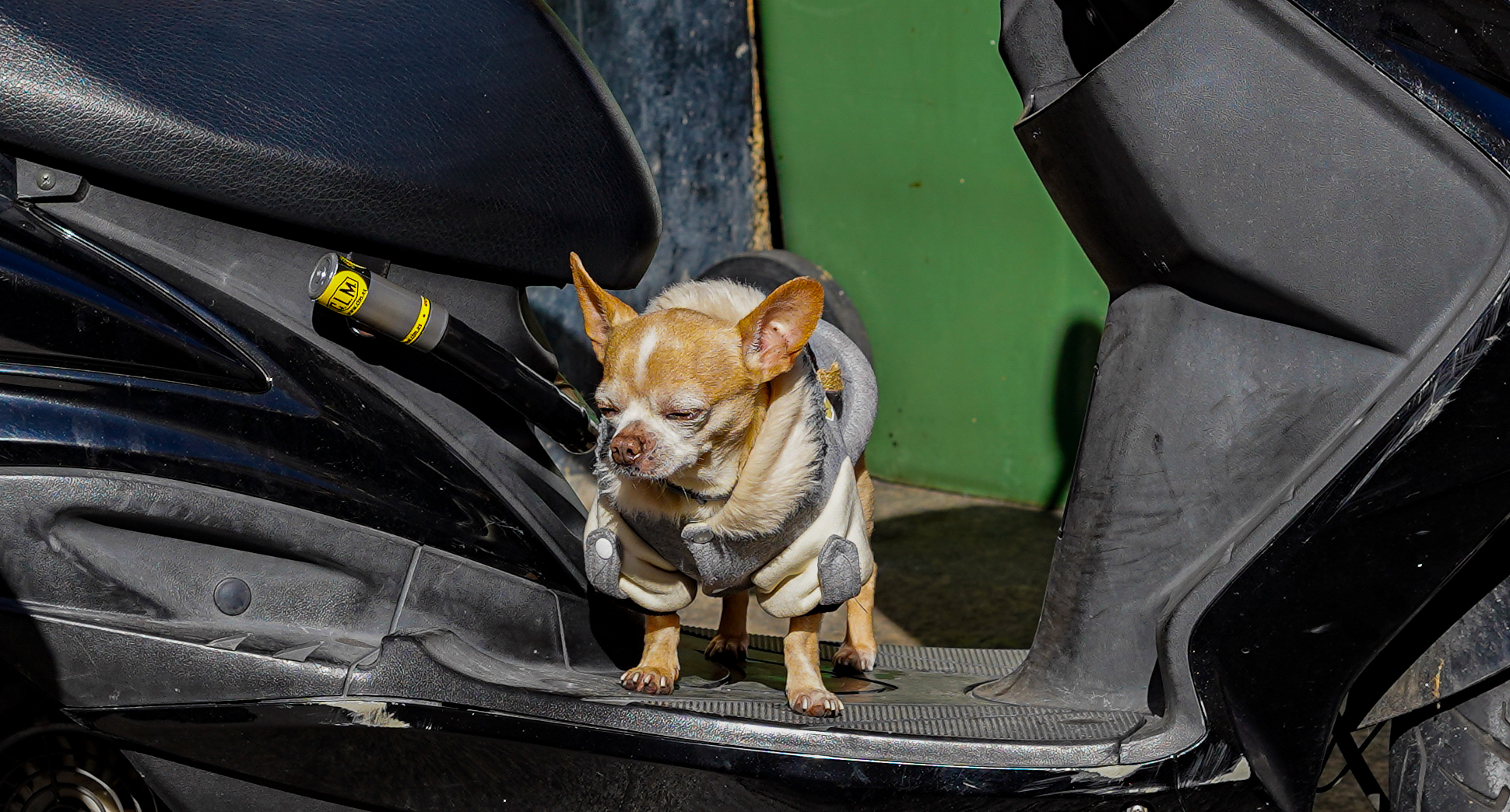 Sleepiness