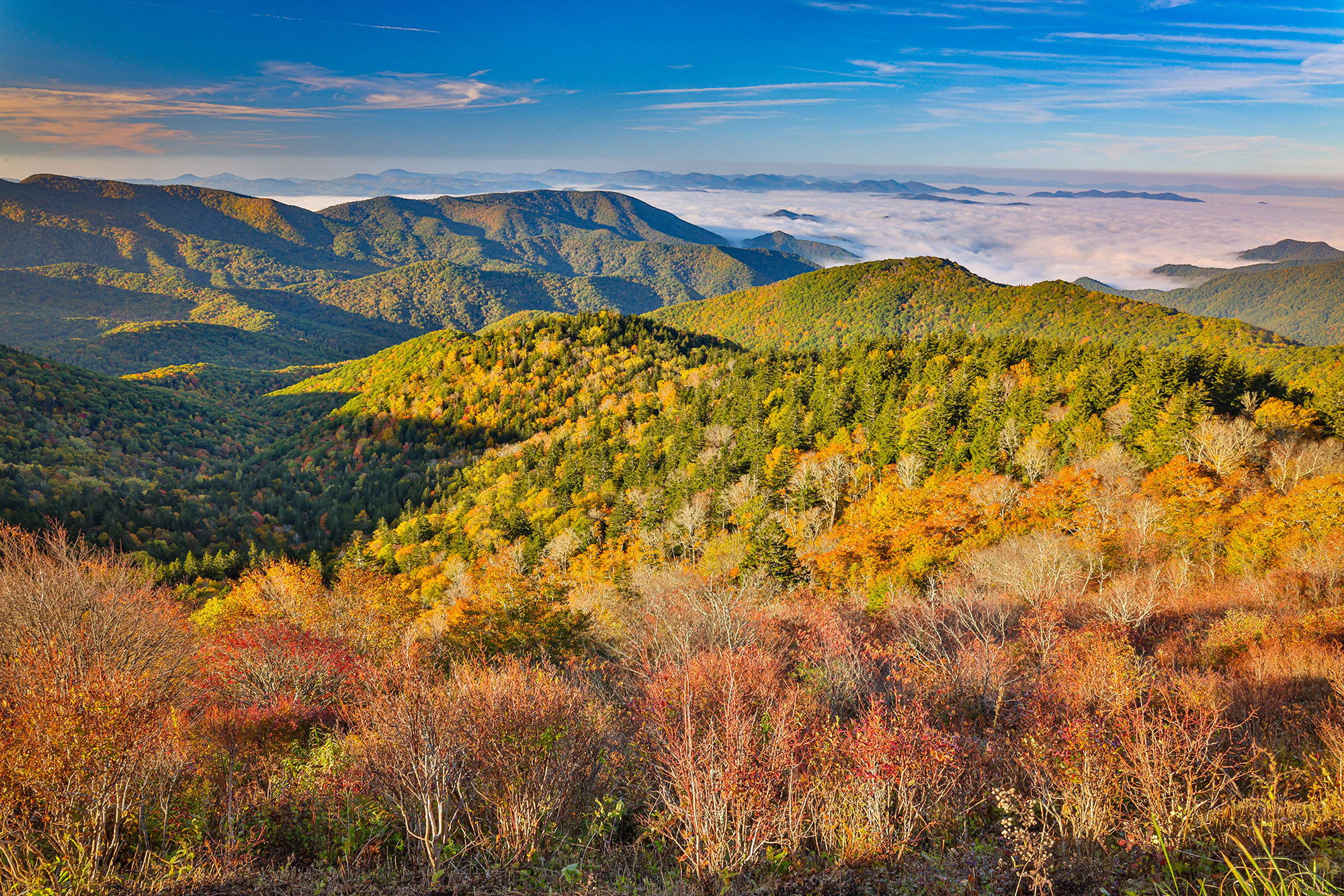 Blue Ridge Parkway, Pisgah National Forest