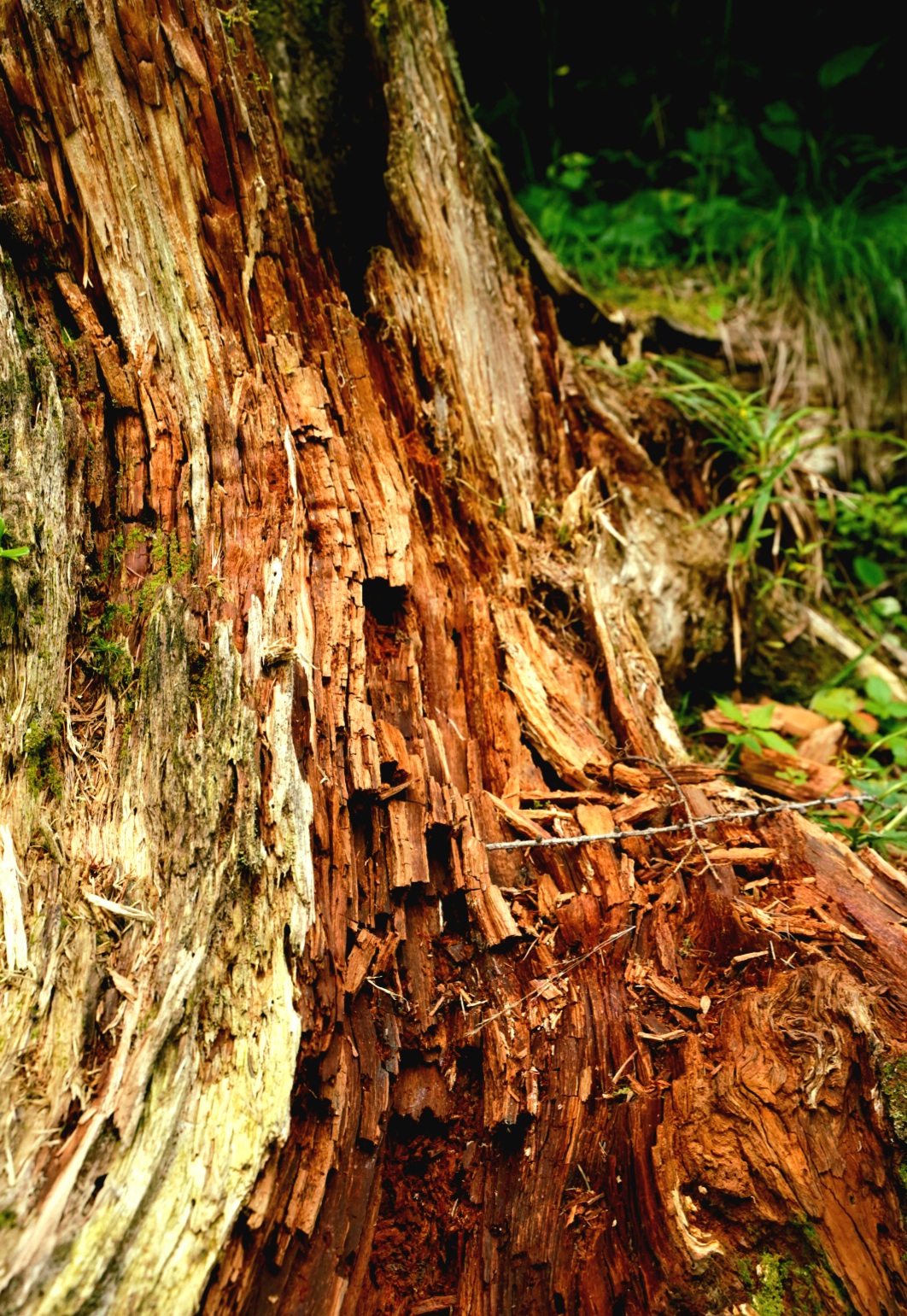 Decomposition