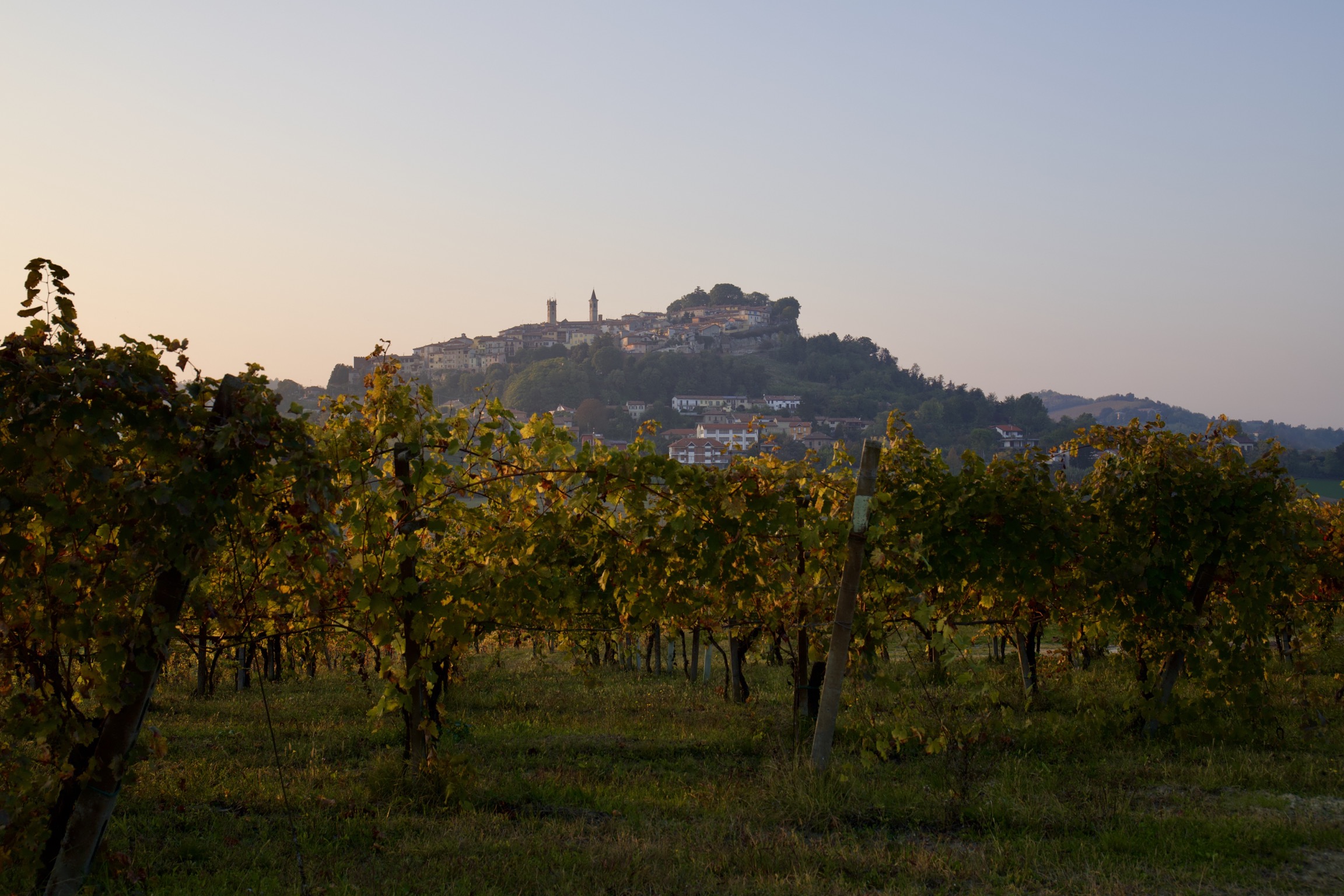 Dalla vigna al borgo