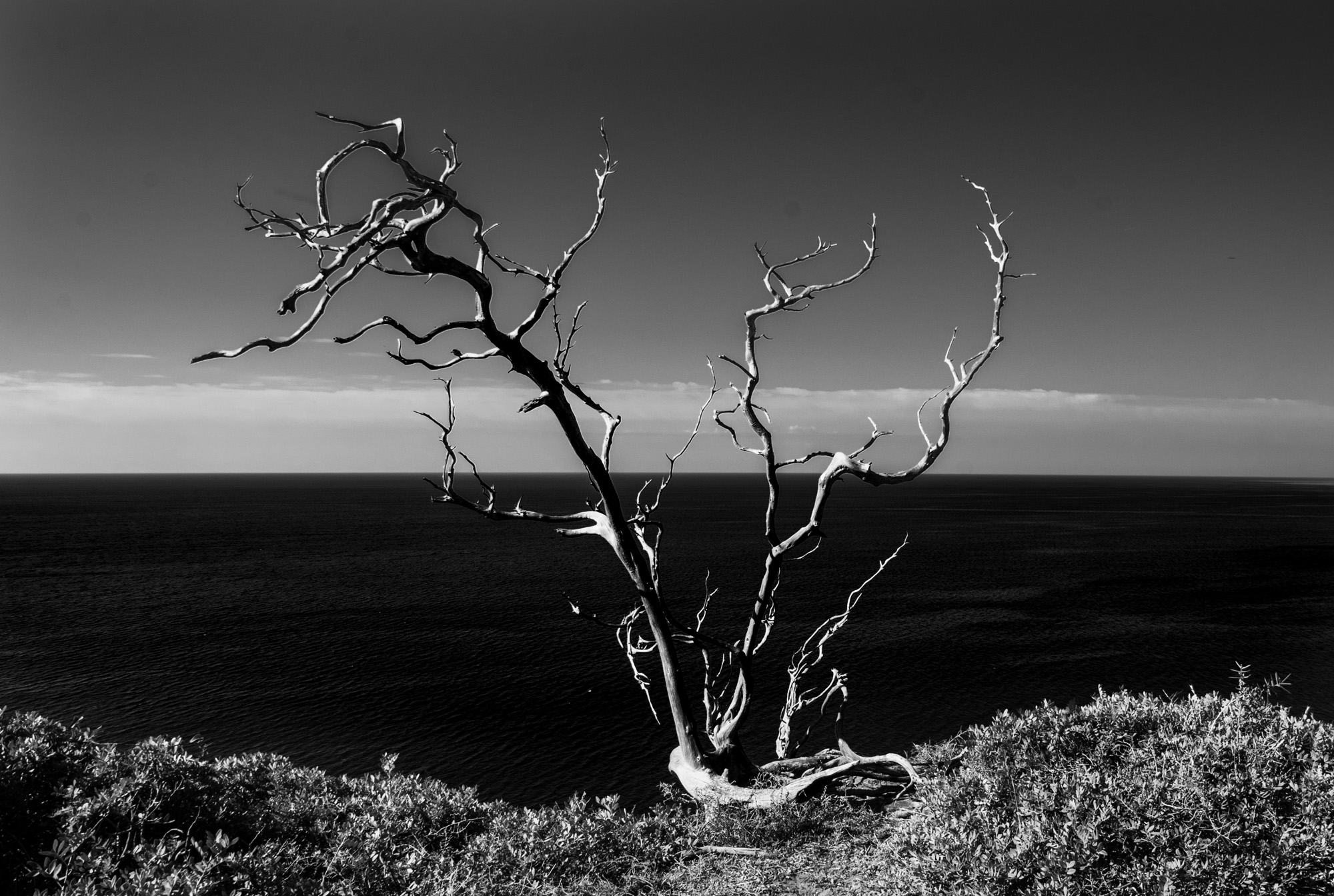 Guarding the infinite