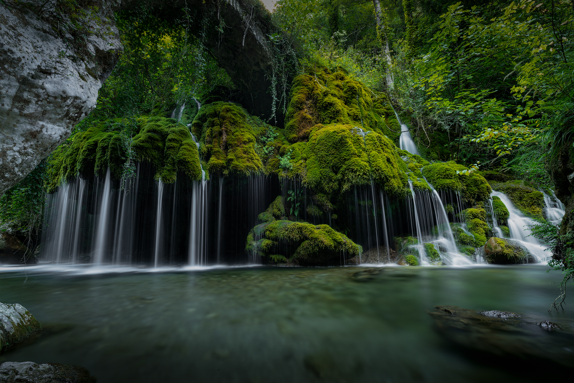 Hair of Venus, water and light