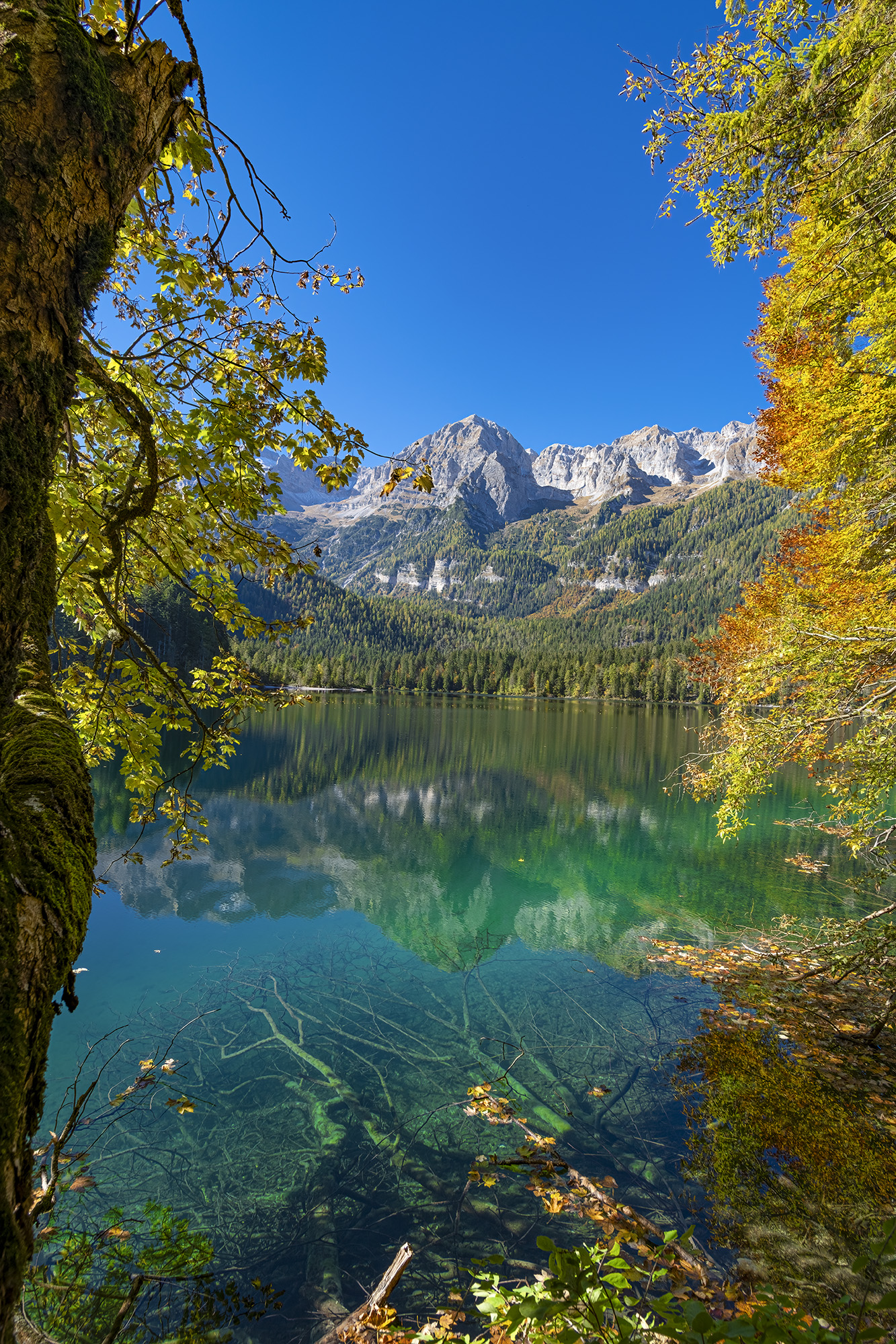 Lago di Tovel