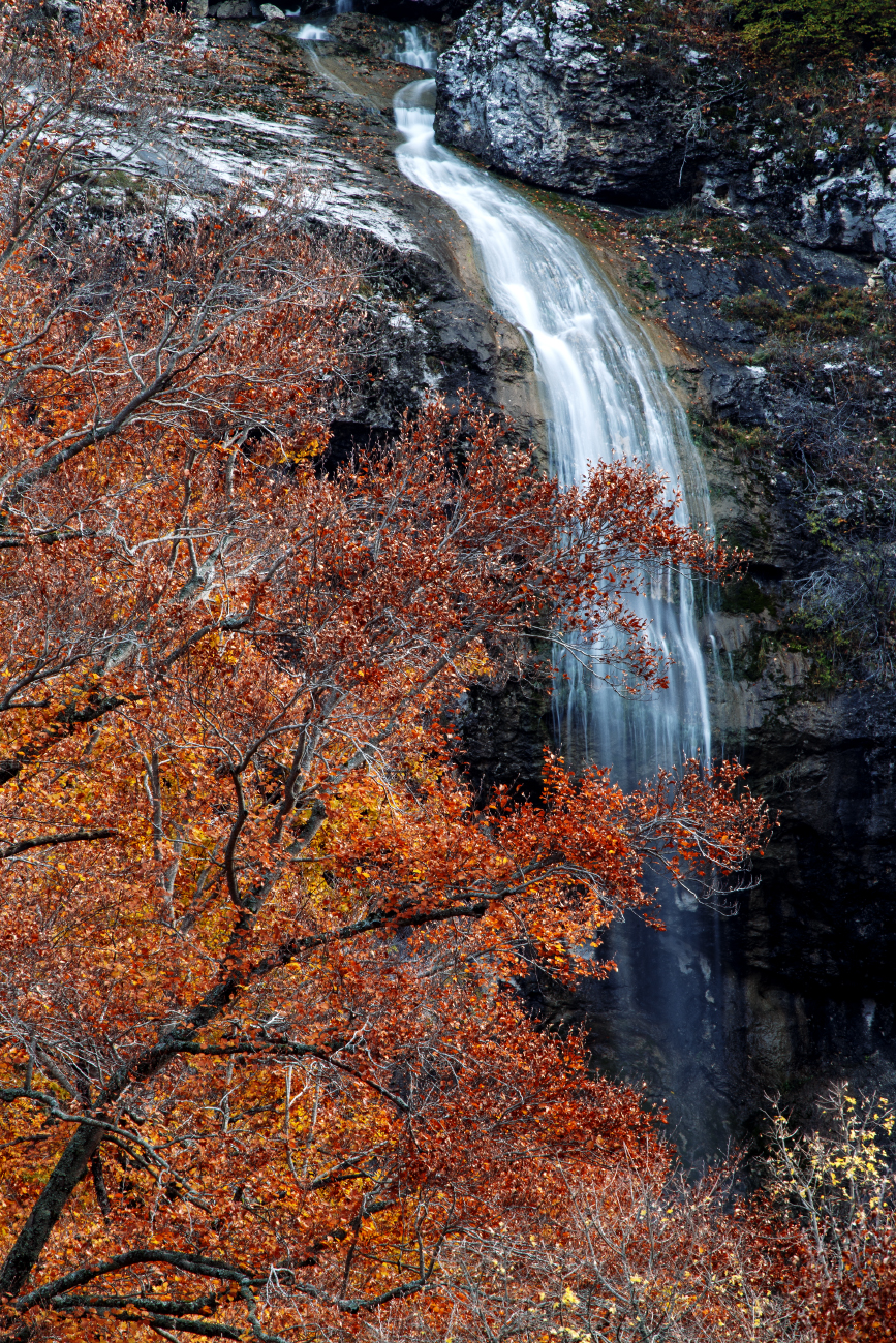 autunno nel parco nazionale d'abruzzo lazio e molise
